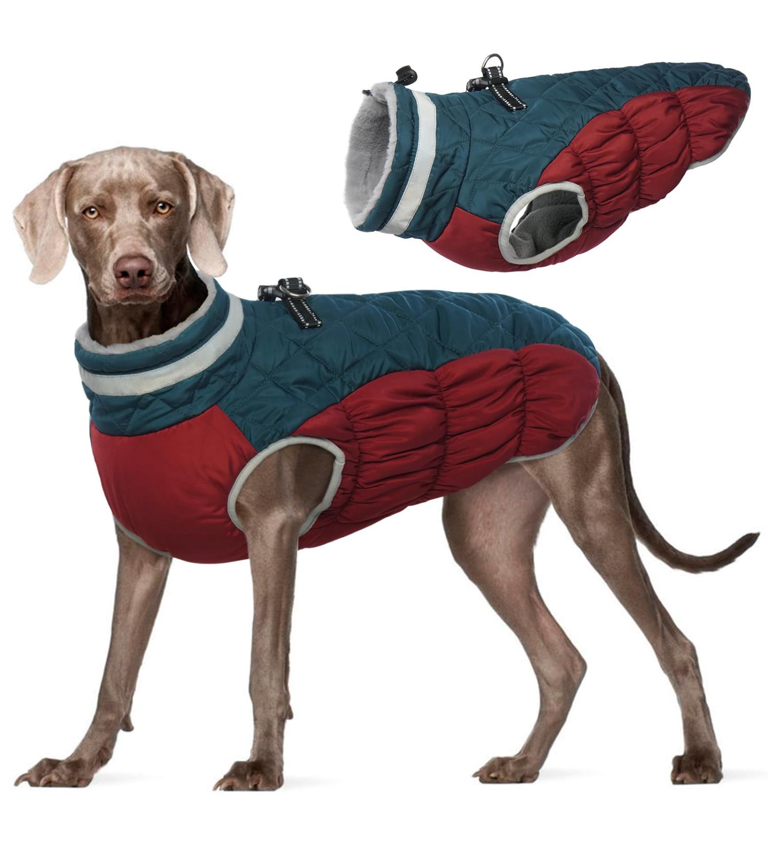 Kuoser Warmth Dog Coat | Windproof Reflective Jacket for Small & Large Dogs | Winter Dog Coat with Zipper - Blue Large - Buy Online on GoSupps.com