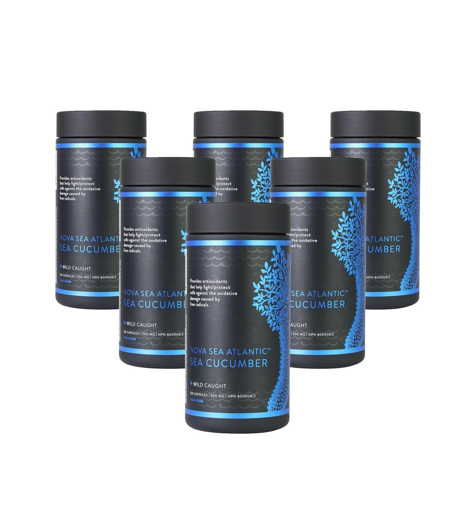 Nova Sea Atlantic Sea Cucumber Supplement Wild Caught Sea Cucumber Capsules with Fucosylated Chondroitin Vitamins Mineral Natural Antioxidant Supplement for Elderly Adult Child (Pack of 6) 120 count (Pack of 6) - Buy Online on GoSupps.com