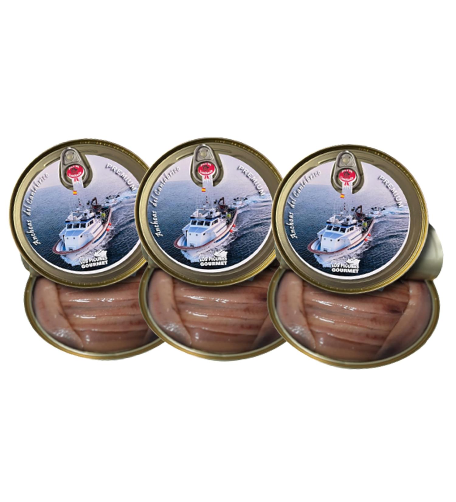Los Picones Gourmet Premium Anchovies from the Cantabrian XL Pack of 3 Tins in Olive Oil (300 g/30 fillets) Preserved Gourmet with Bocartes Grandes. Santo a - Buy Online on GoSupps.com