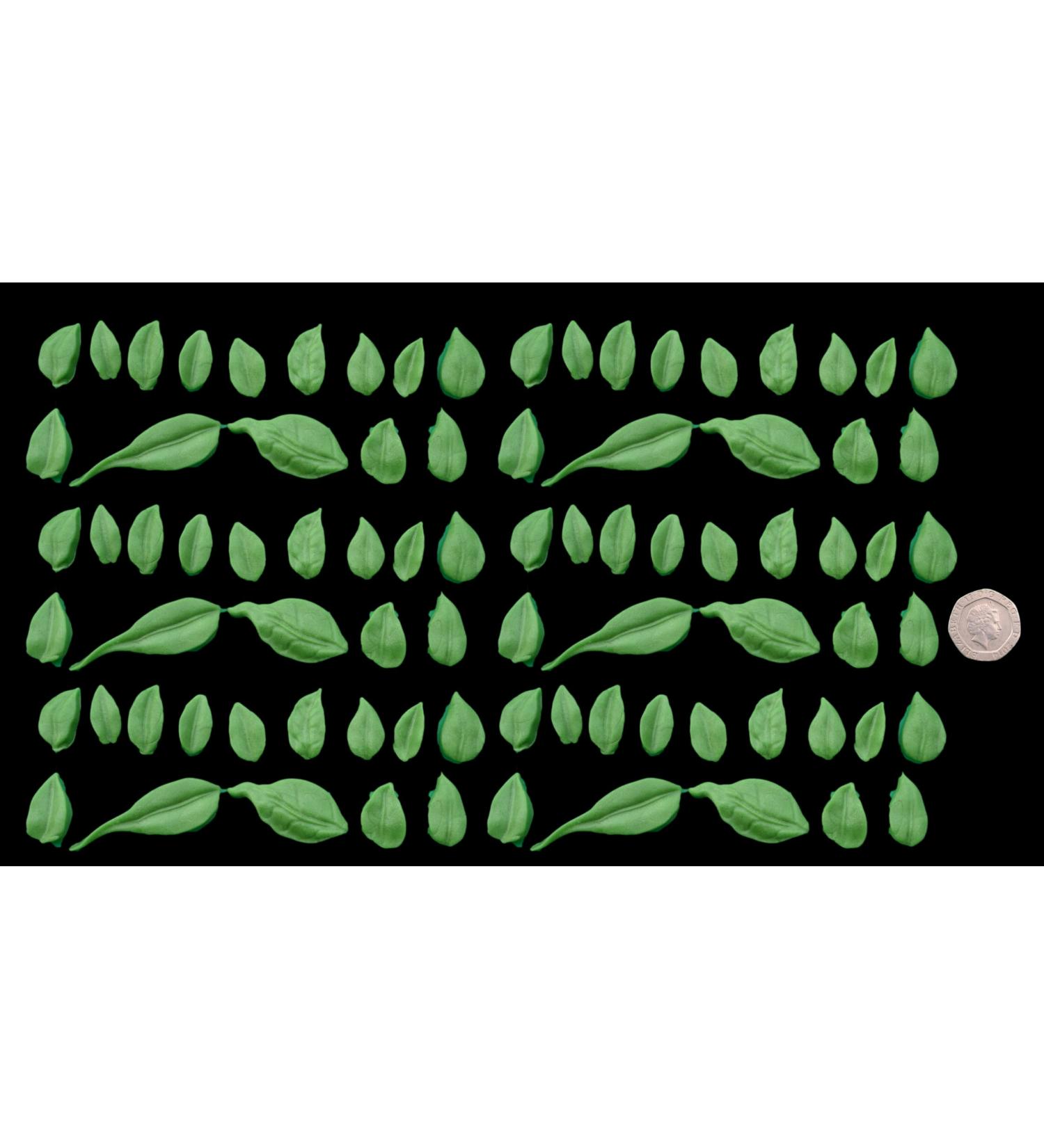 50 x Edible 3D Large Mixed Green Leaves Set 2 Flowers icing toppers cake cupcakes decorations (Green)