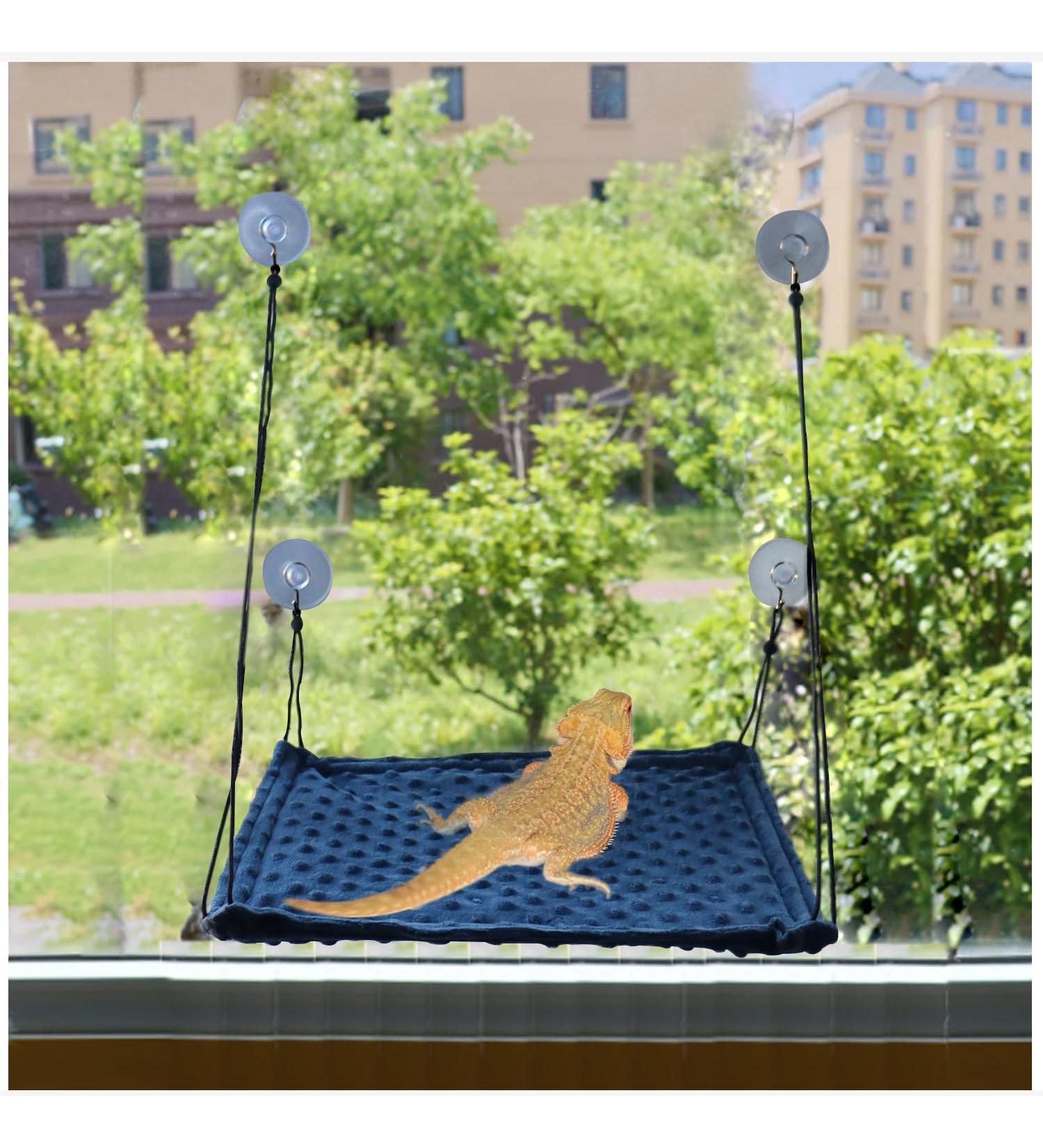 YUYUSO Reptile Window Hammock Bearded Dragon Hammock Swing Hanging Bed Reptile Sunbathe Hammock for Bearded Dragon Leopard Gecko Lizard - Buy Online on GoSupps.com