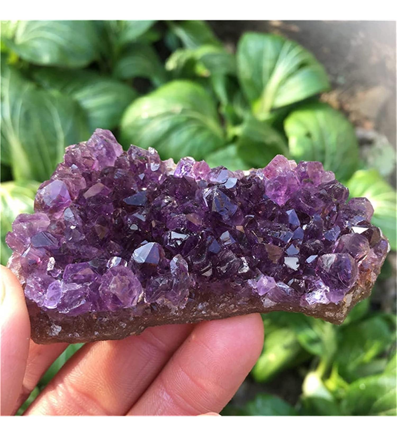 Amethyst Rough Stone Mix Random Dream Amethyst Quartz Crystal Cluster Specimen (Color : 180-200g Size : Mix Random) (Color : 100-130g Size : Mix Random) Mix random 100-130g - Buy Online on GoSupps.com