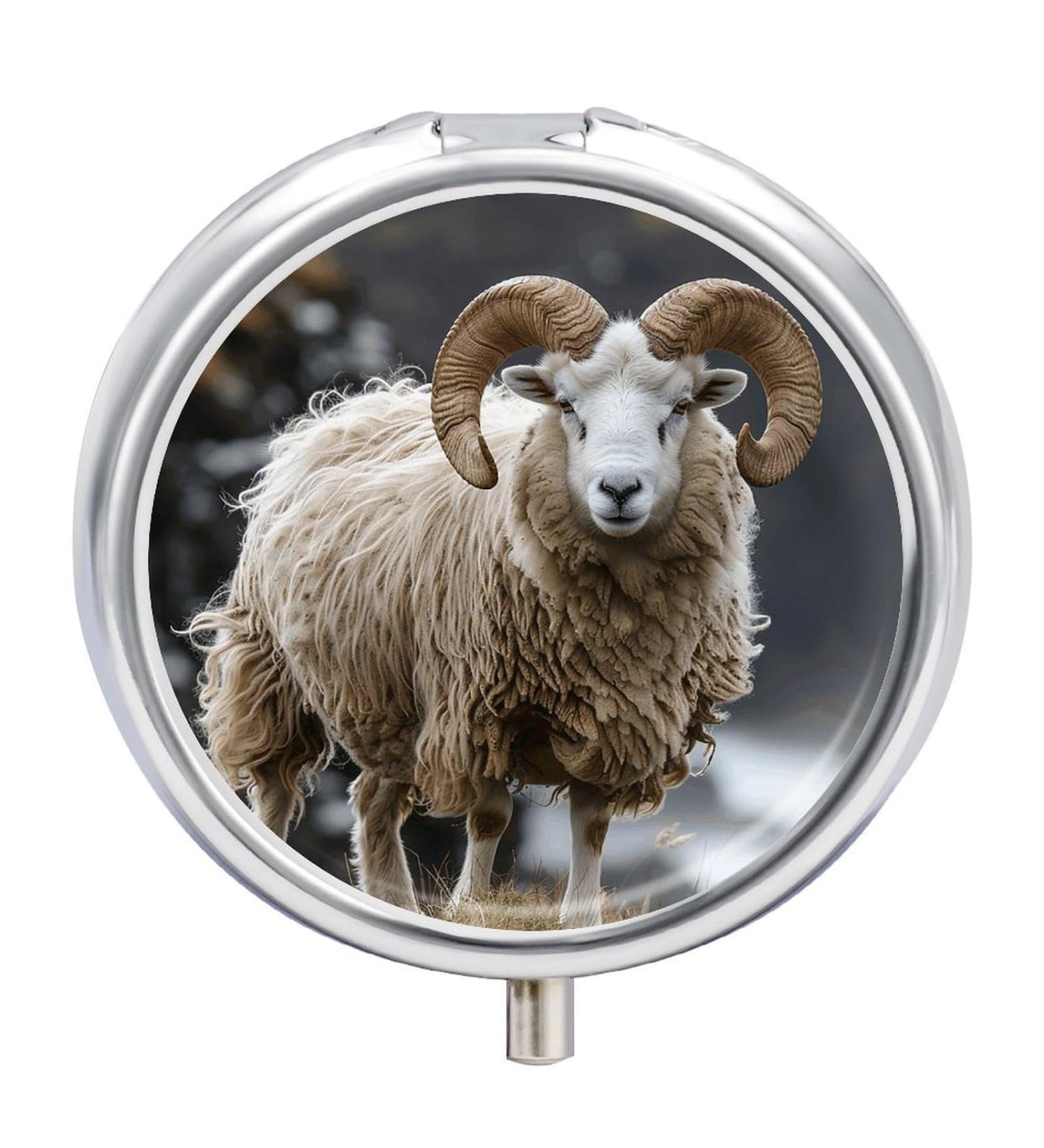 Portable 3 Compartment Pill Box Organizer - Travel-Friendly Small Medicine Case for Purse & Pocket - Buy Online on GoSupps.com