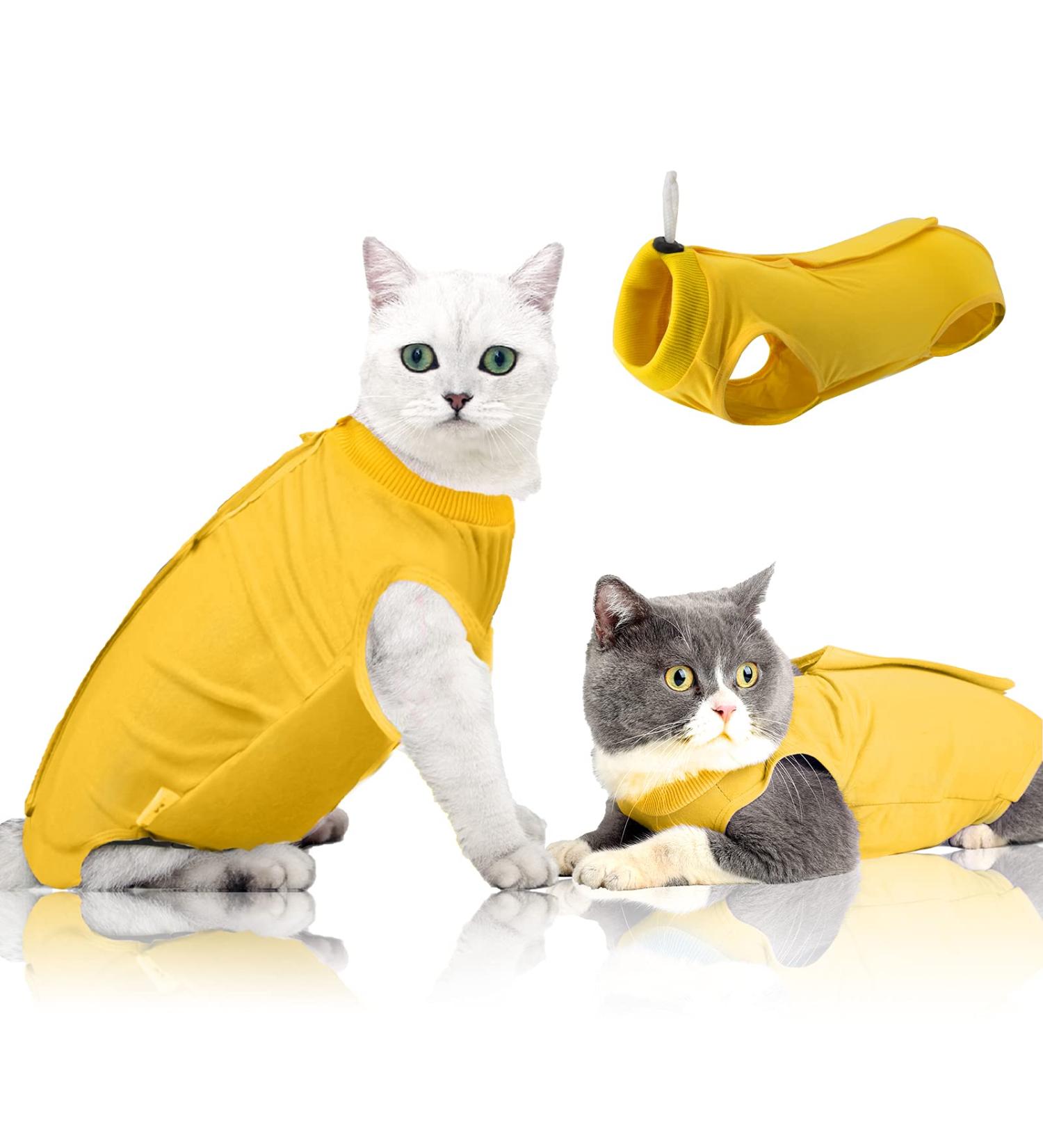 Ouuonno Cat Recovery Suit for Abdominal Wounds | E-Collar Alternative for Cats & Dogs | Large Yellow Surgery Pajama - Buy Online on GoSupps.com
