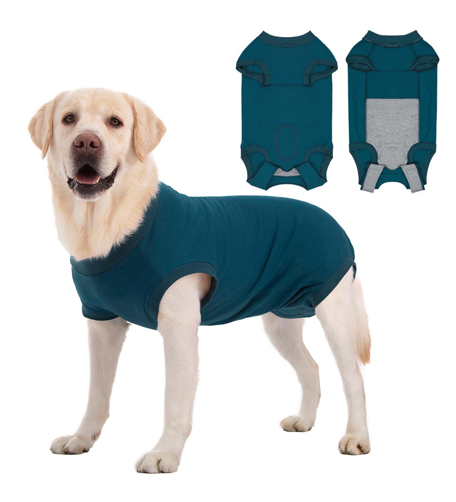 Medical pet shirt large shop