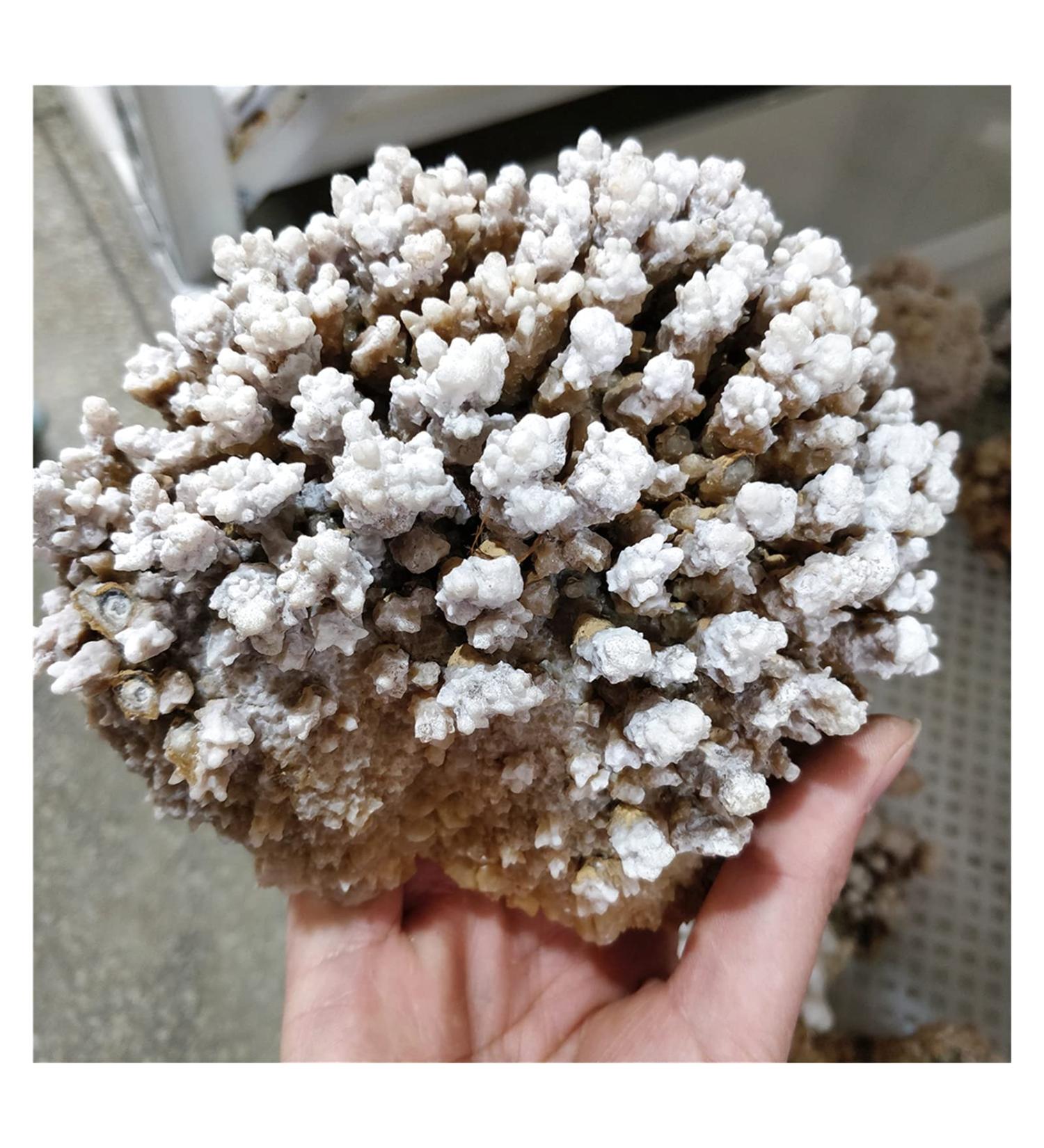 Room Decoration Natural Rough Crystalline Crystal Stone Zeolite Quartz Apophyllite Raw Rock Decorations Specimens Collection Bulk Raw Stones and Minerals (Size : 1.0-1.15kg) - Buy Online on GoSupps.com
