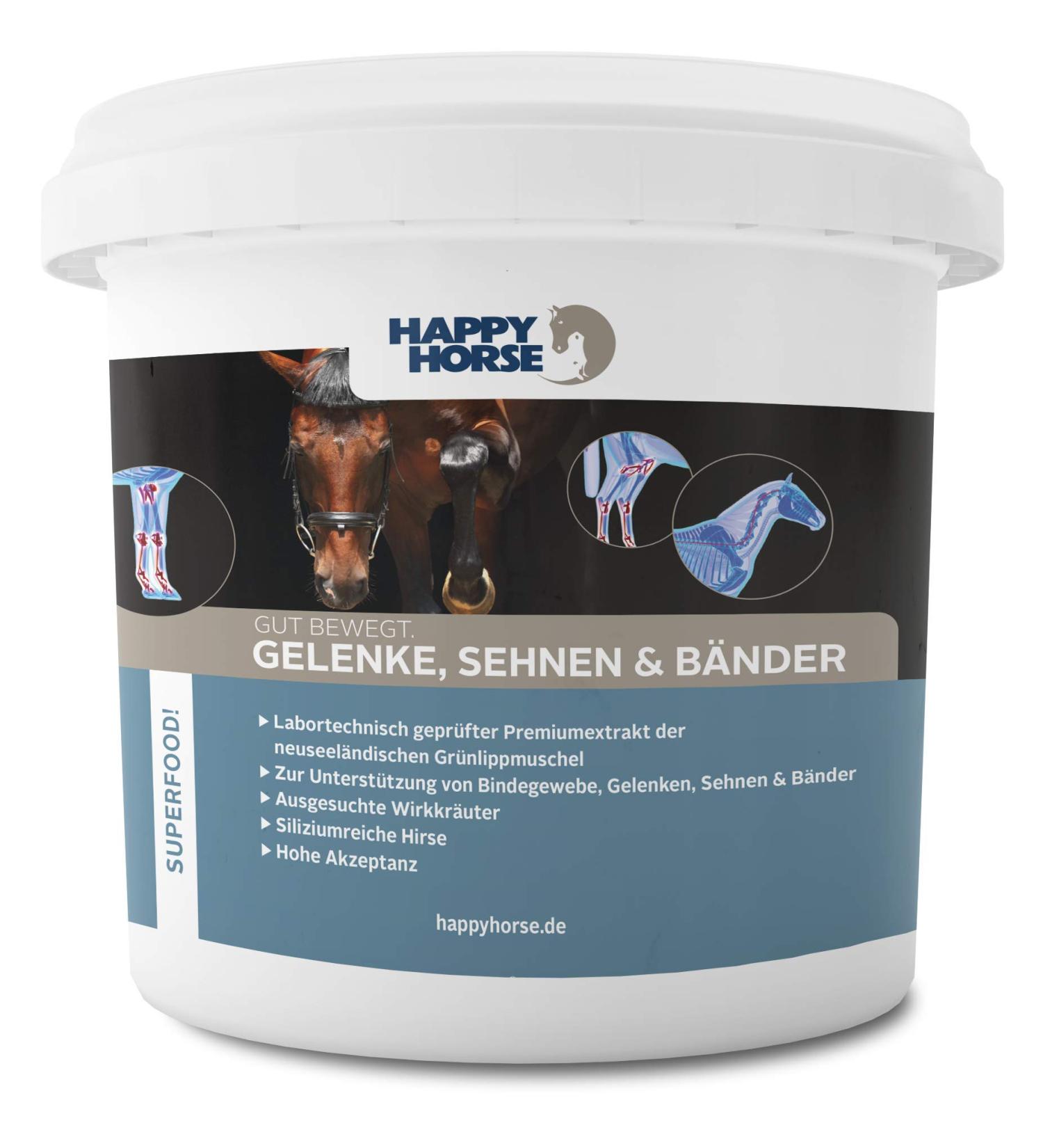 Joint & Tendon Ligaments Support | Natural Musculoskeletal Health | Prevent Joint Issues & Enhance Cartilage - Buy Online on GoSupps.com