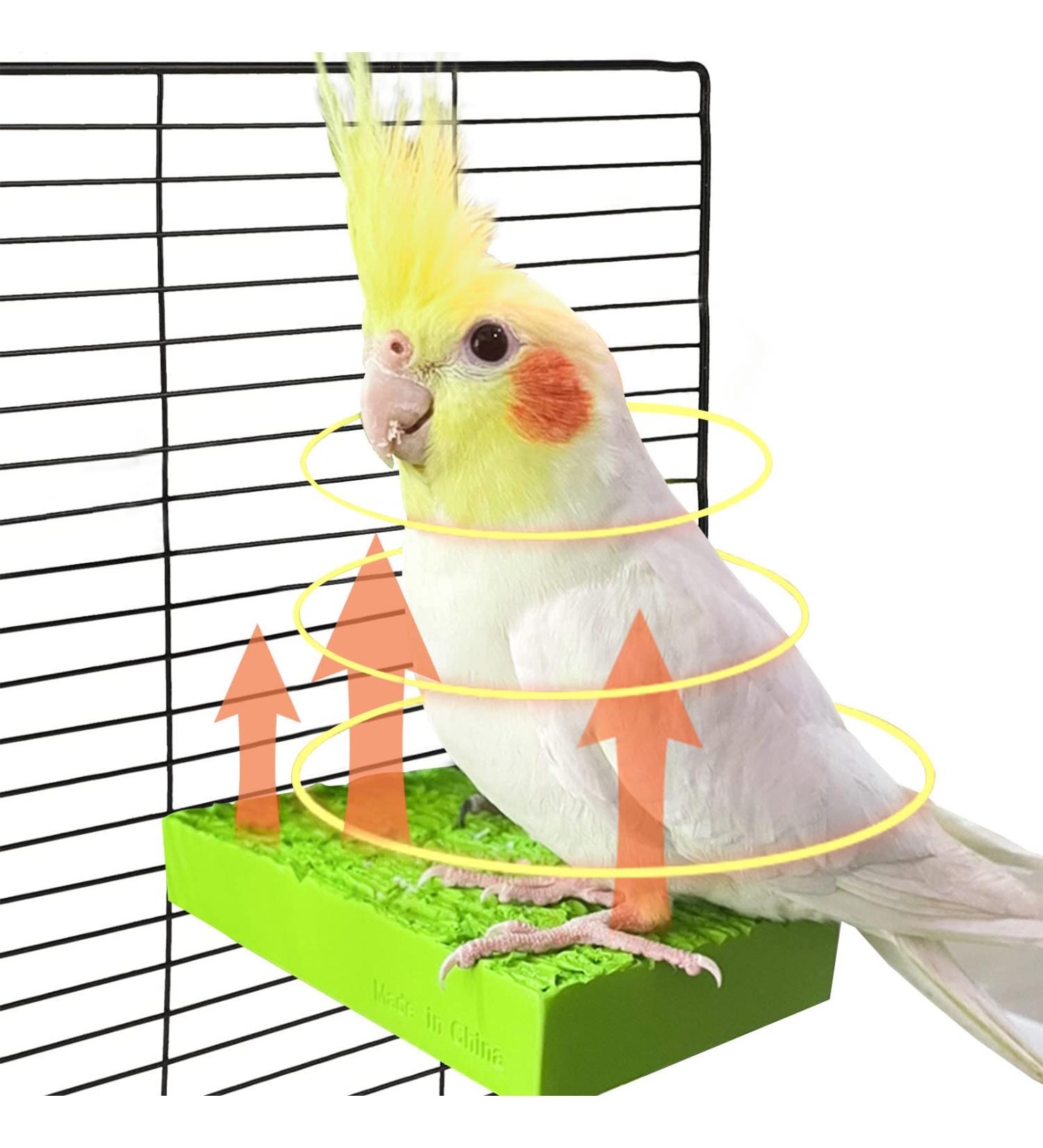 GIFANK Bird Heater for Cage | Warmer Stand for Parrots & Small Birds - 12V 3.3 x 6 inches - Buy Online on GoSupps.com