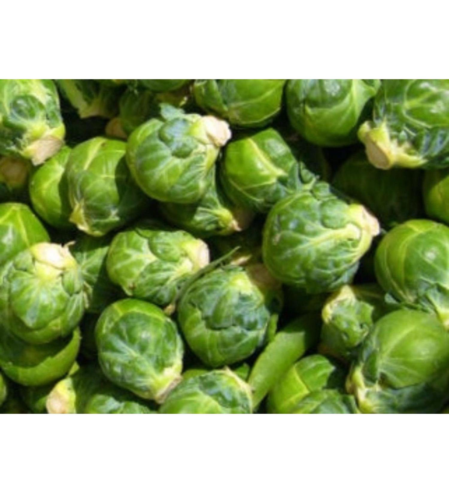 10+ "Long Island Improved" Brussels semi -Family Favorite Sweets