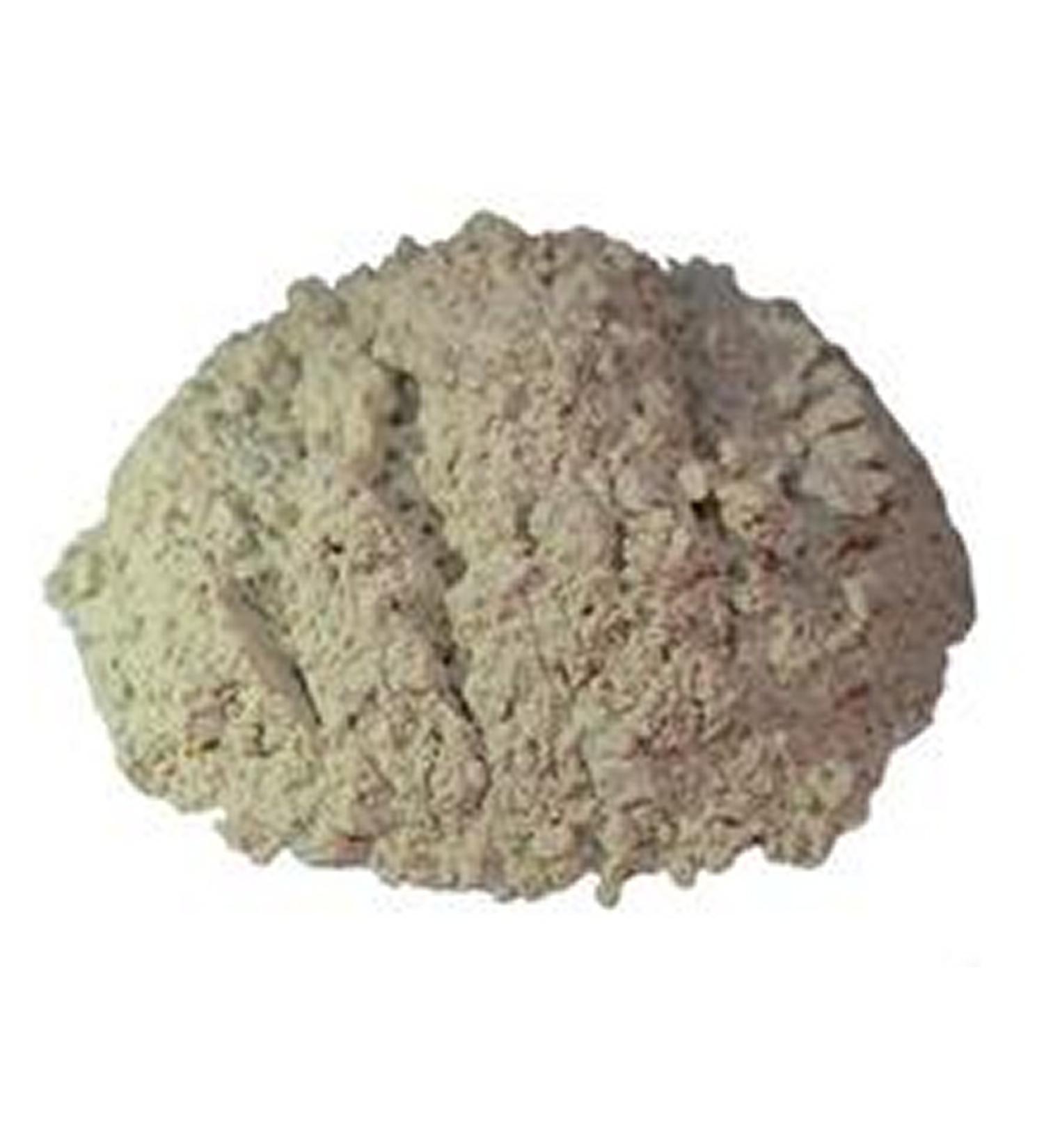 The Spiceworks The Spiceworks Hereford Garlic Dried Powder 100g