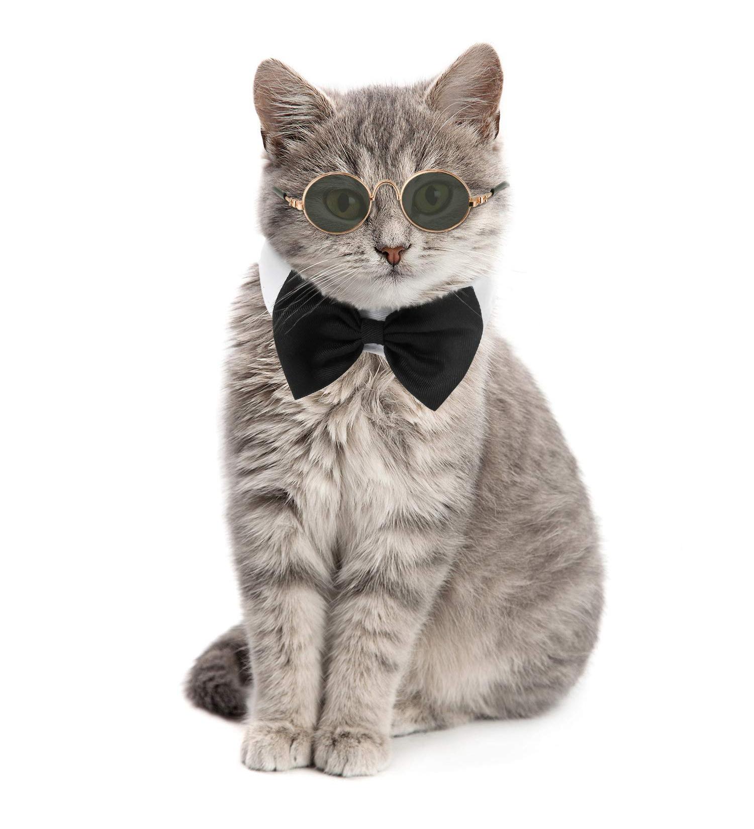 Adjustable Pet Bow Tie & Cute Sunglasses Set for Cats and Dogs - Black White - Buy Online on GoSupps.com