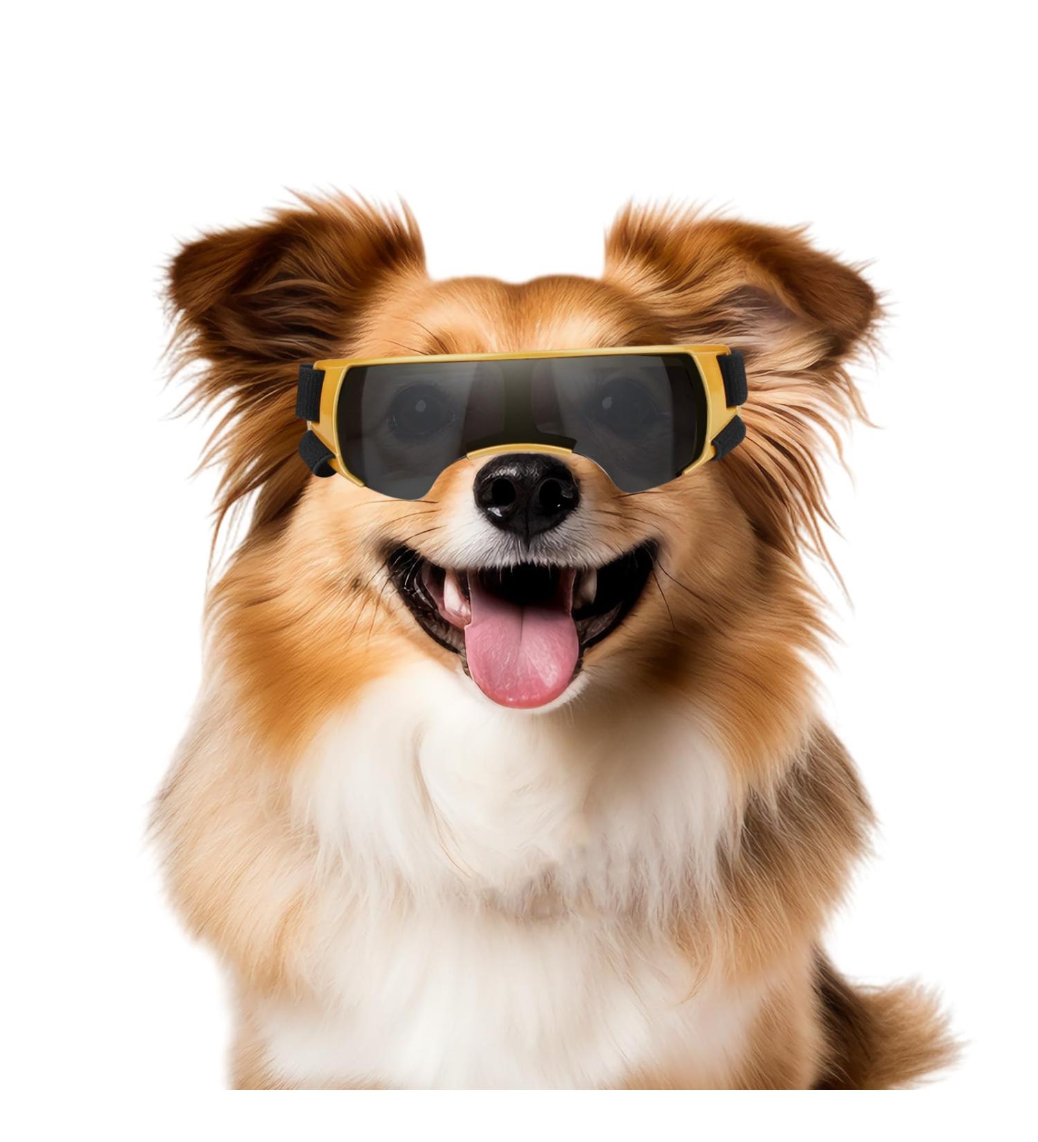 Namsan sunglasses for small dogs safety glasses for small dogs windproof UV protection waterproof dog glasses puppies with adjustable rubber band golds