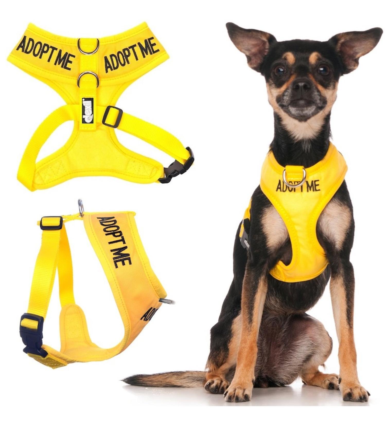 Dexil Limited Yellow Color Coded Non-Pull Dog Harness - XS 13-19 Inch Chest/Girth - Buy Online on GoSupps.com