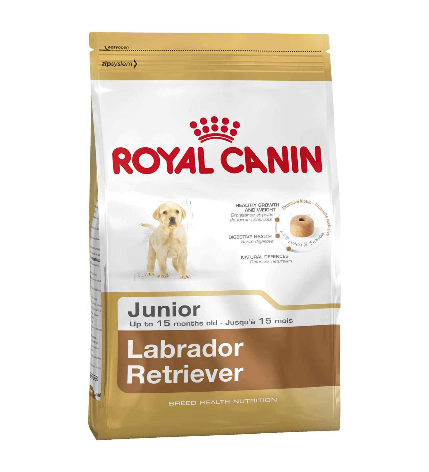 Labrador Retriever Junior puppy kibble 12KG Royal Canin