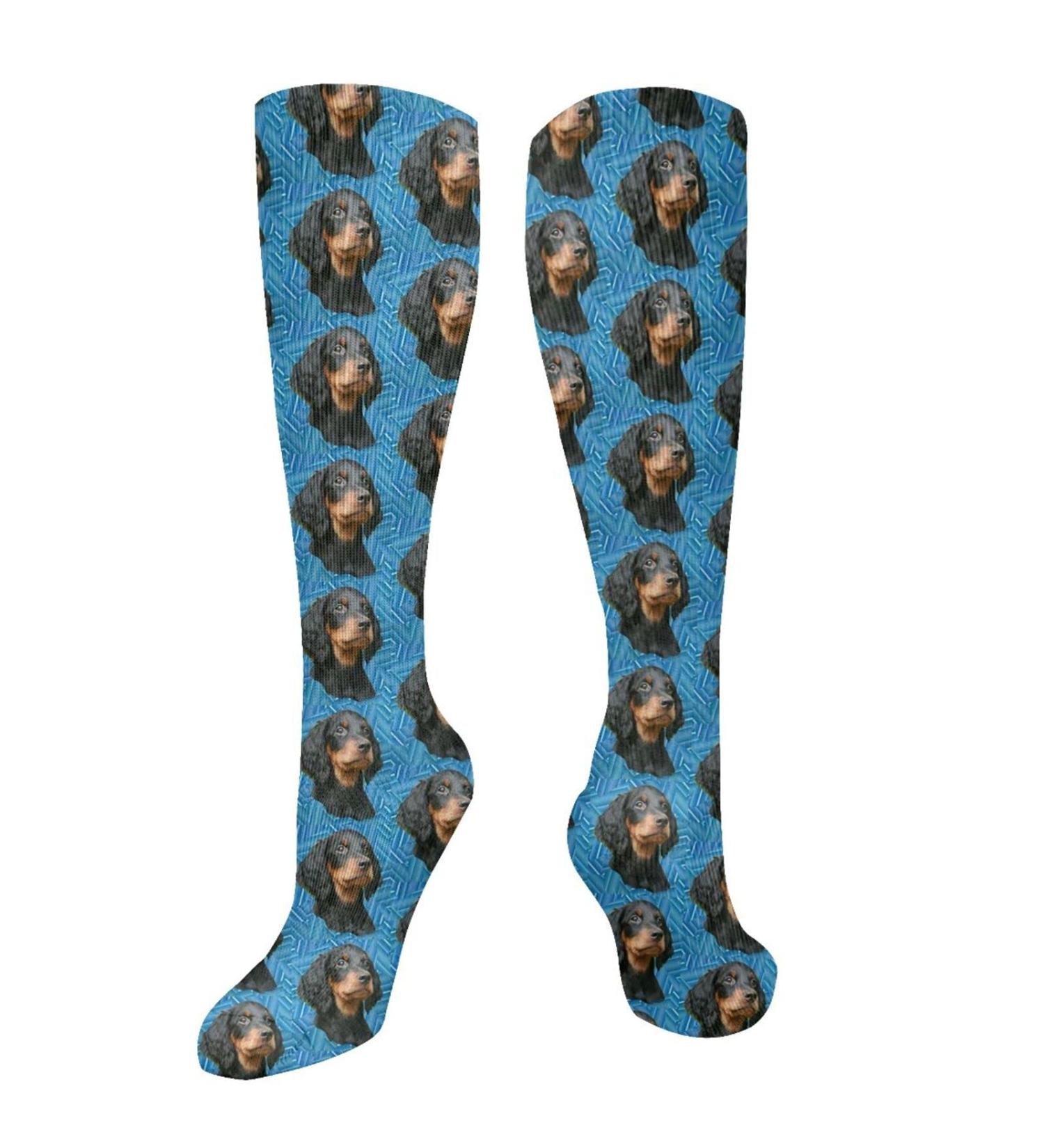 Gordon Setter Puppy Compression Socks for Men & Women | 15-20 mmHg Circulation Support for Running & Cycling - Buy Online on GoSupps.com