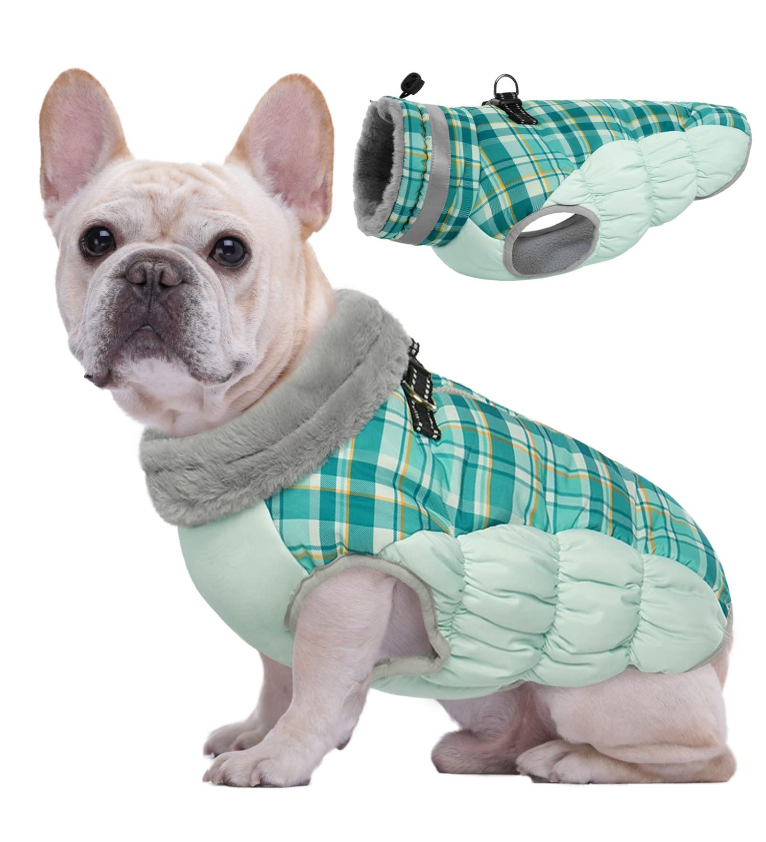 Kuoser Warm Reflective Dog Jacket - Windproof Winter Coat for Small & Large Dogs in Dark Green - Buy Online on GoSupps.com