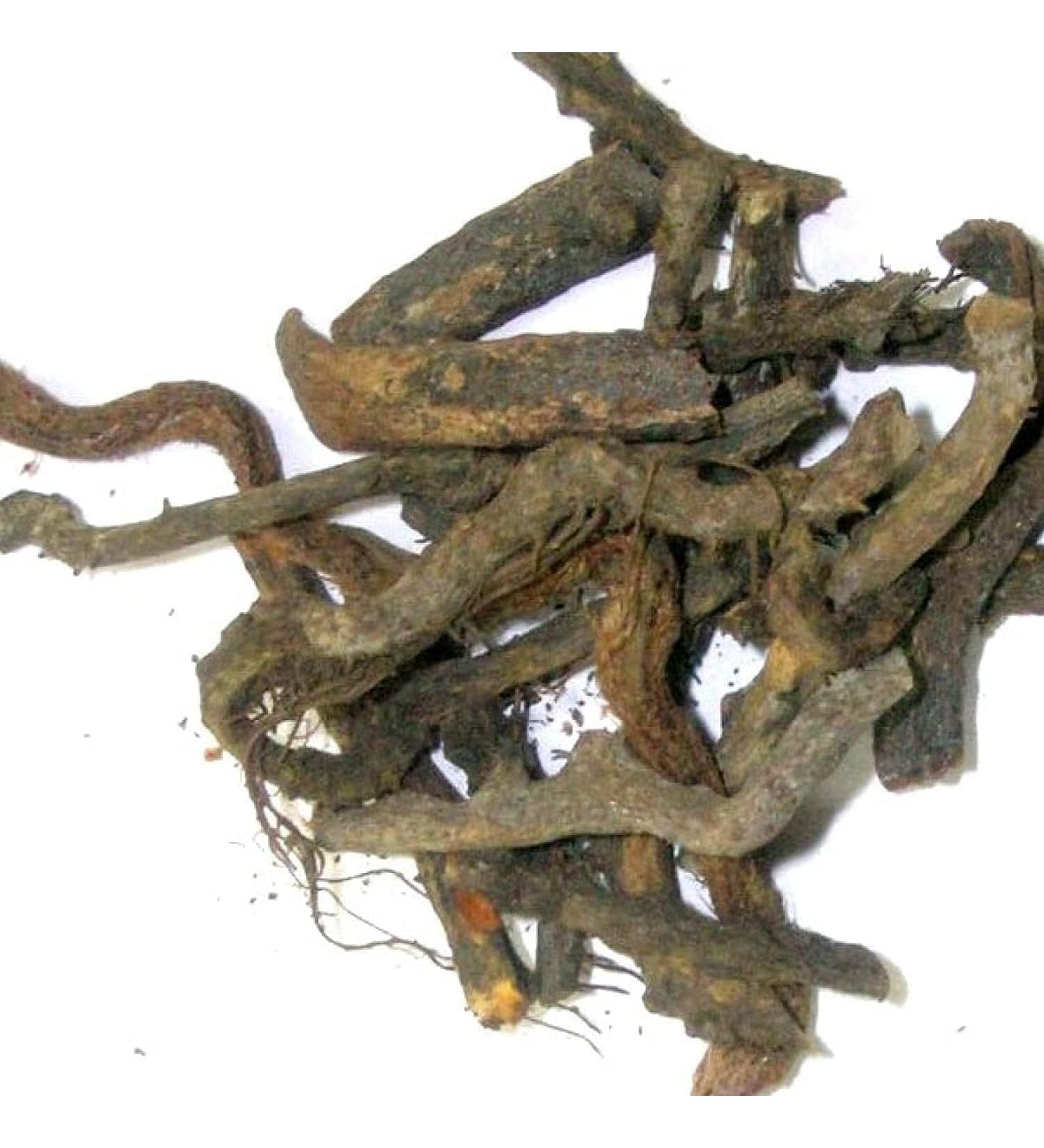 HK Nirgand Nirgundi Root Vitex Negundo Dried Root (200g) Nishinda Nirgundi Samalu Huang ping