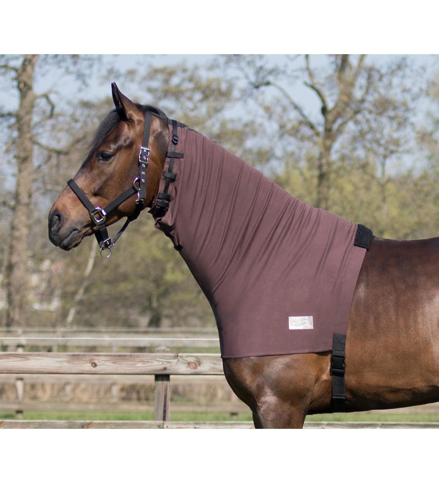 QHP Neckpiece Eczema Elastic with Throat Strap & Girth (S) - Brown | International Shipping Available - Buy Online on GoSupps.com