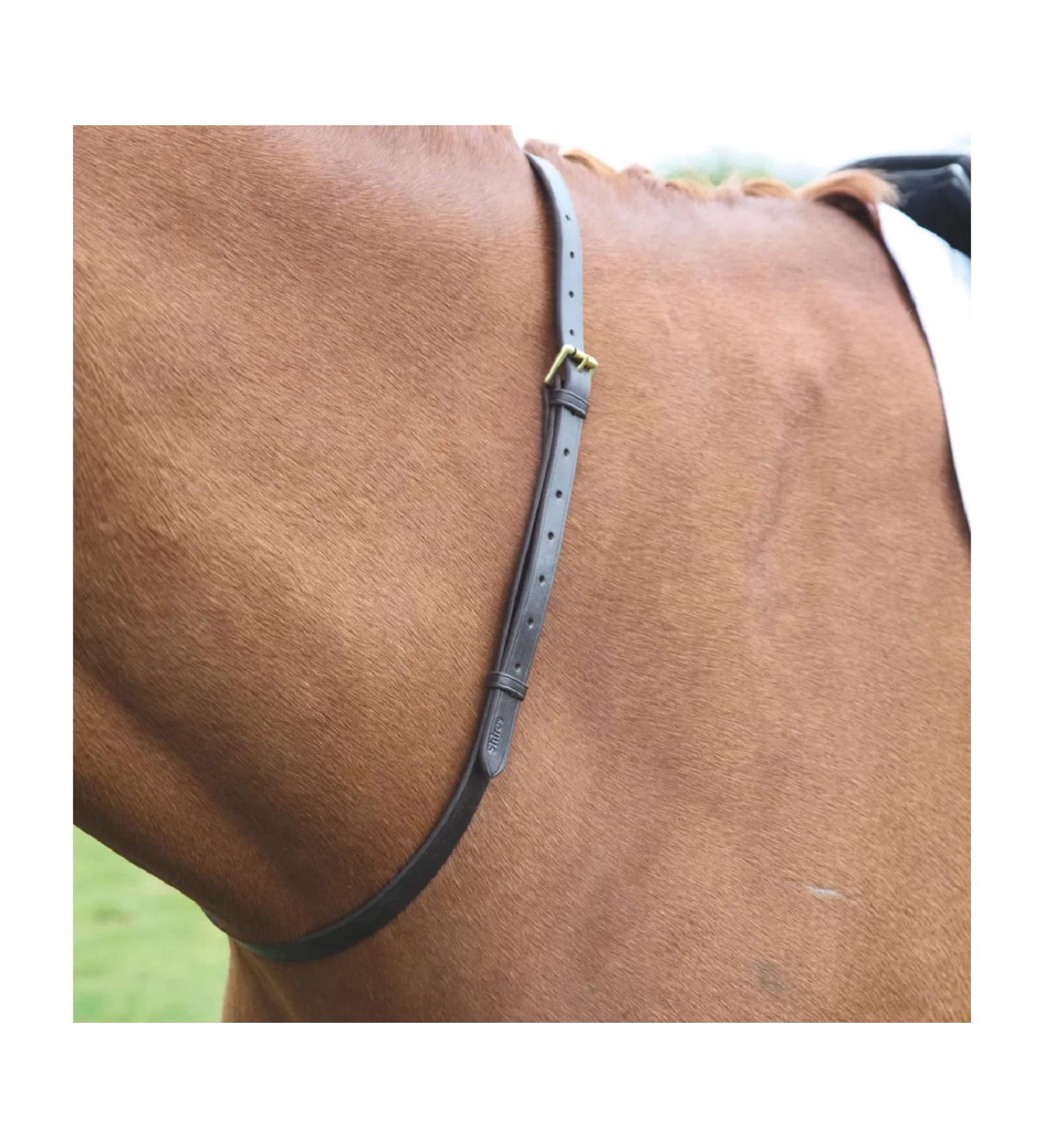 Shires Velociti (was Blenheim) Gara Leather Strap 447G Black Black 3/4X50 Black 3/4X50"