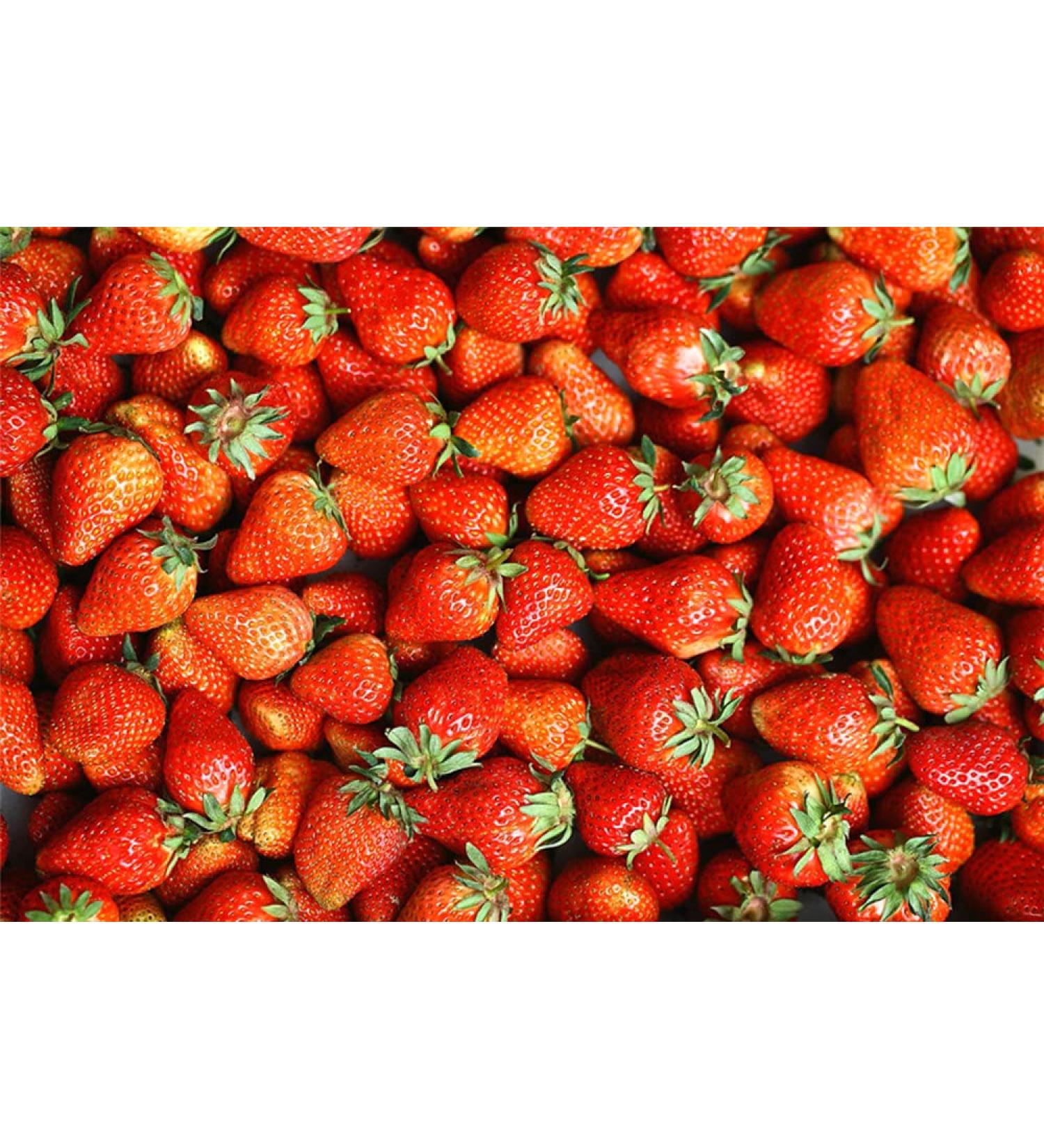 Strawberry Seeds Ancient Breed Berry Seeds Natural Beauty Strawberry500 Seeds
