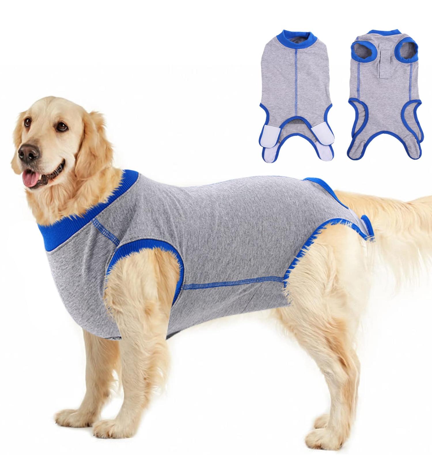 Pumyporeity Recovery Suit for Dogs - XL Gray | Postoperative Wound Protection & Anti-Licking Suit for Puppies | Ideal for Castration Recovery - Buy Online on GoSupps.com
