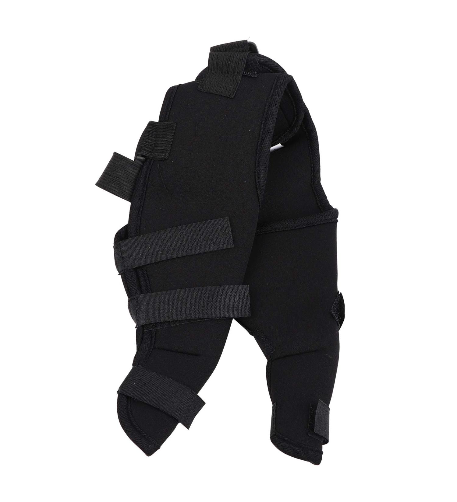 Adjustable Pet Knee Pads Pet Dog Hind Legs Protector Dog Hind Legs Protector for Recovering Injured or Diseased Legs for Dogs(M-Black)(M) - Buy Online on GoSupps.com