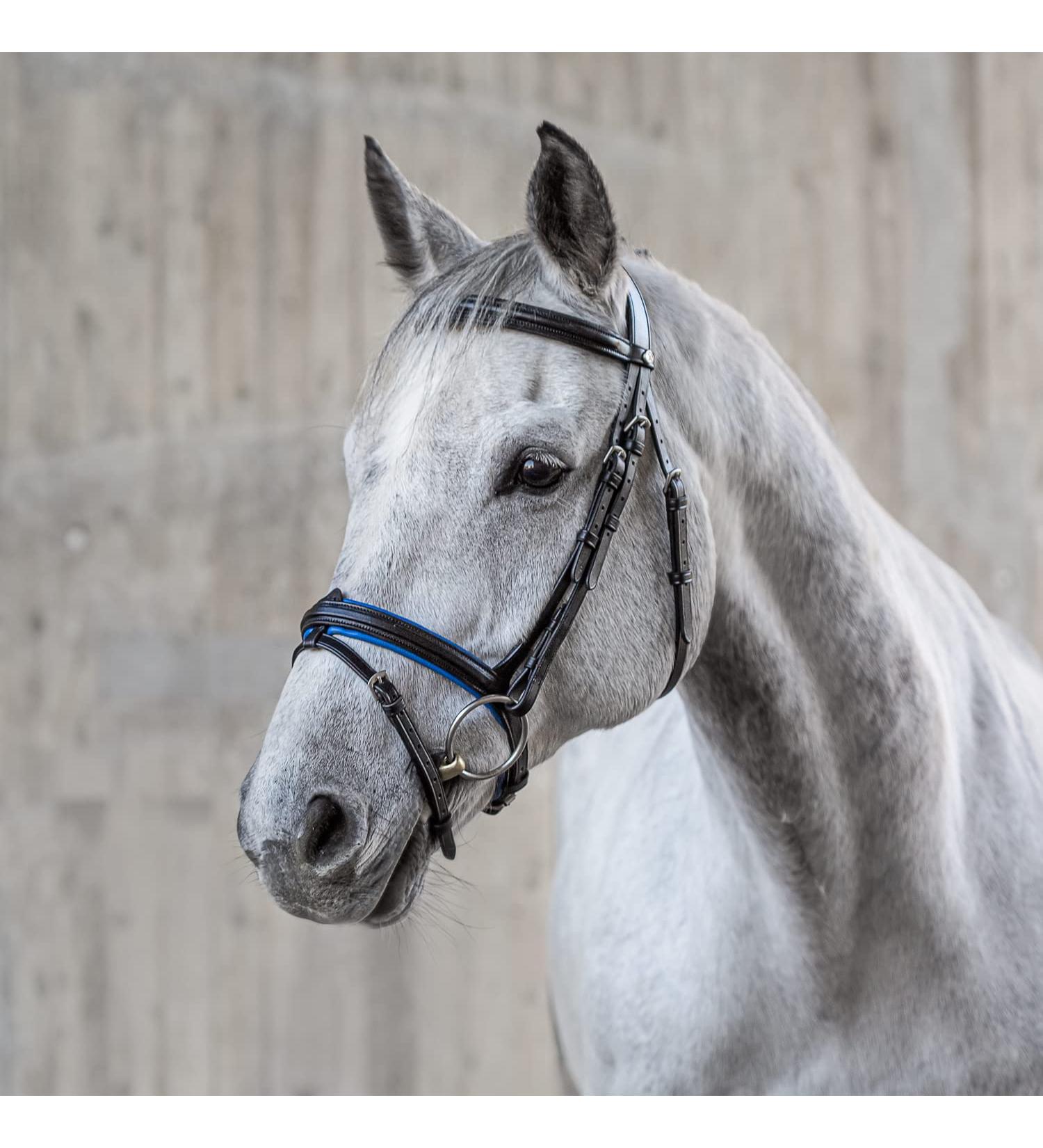 Sunride English Combined Bridle Hawaii - Soft Real Leather Adjustable & Anatomical for Ponies (Black/Blue) - International Shipping Available - Buy Online on GoSupps.com