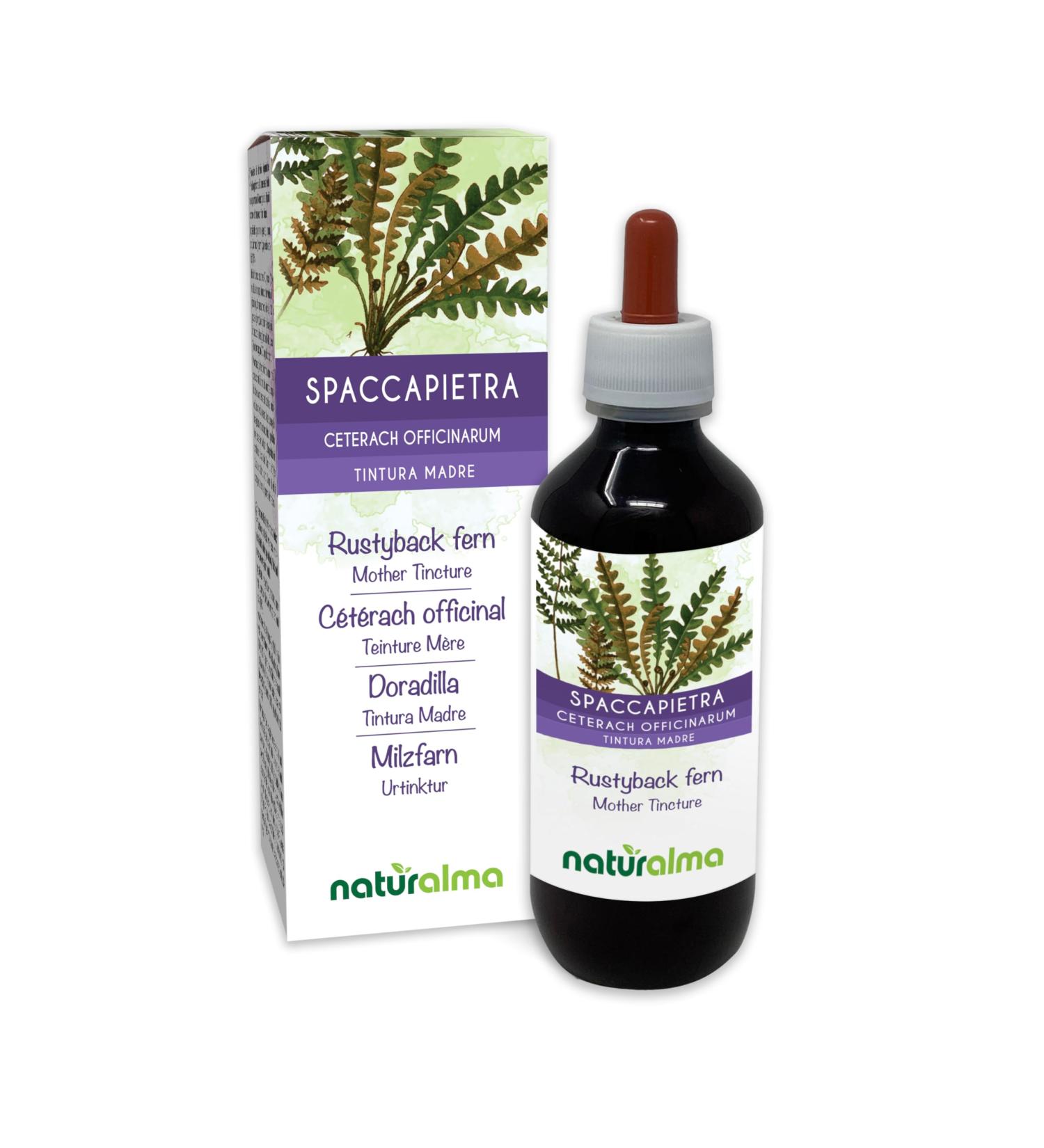 Buy Spleen Fern (Ceterach officinarum) Alcohol-Free Mother Tincture - Naturalma Liquid Extract Drops 200 ml | Vegan Dietary Supplement | International Shipping - Buy Online on GoSupps.com