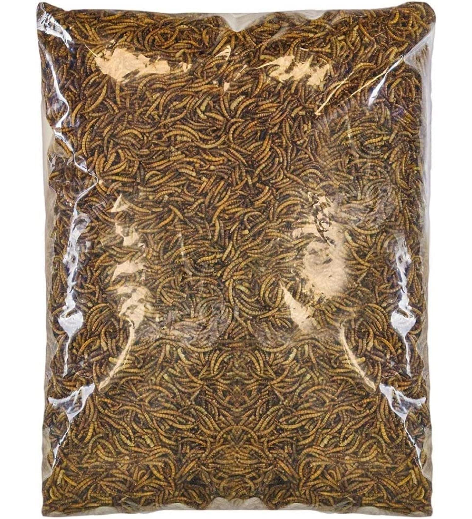 SQUAWK Dried Meal Worms - Premium Wild Bird Food (5kg) - Buy Online on GoSupps.com