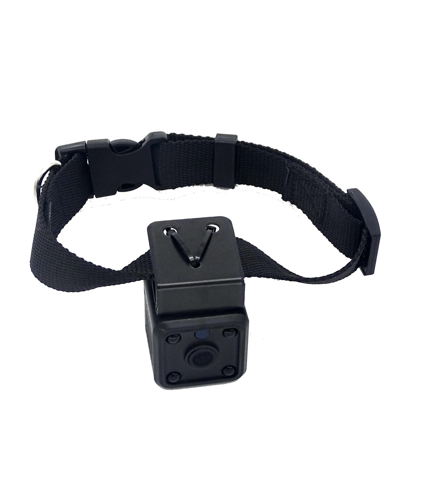Wireless Rechargeable WiFi Pet Collar Camera Recorder Tracker - 720P HD with Night Vision - Bigger Size - Behavior Observation - Buy Online on GoSupps.com
