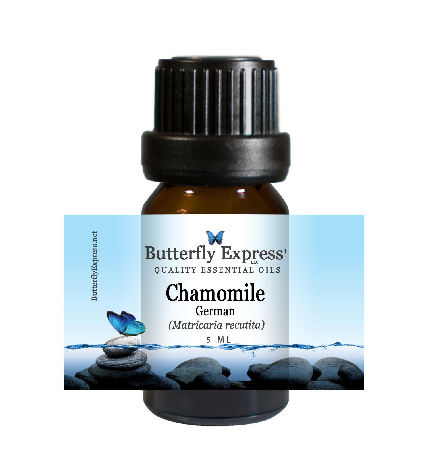 Chamomile German Essential Oil 5ml - 100% Pure by Butterfly Express