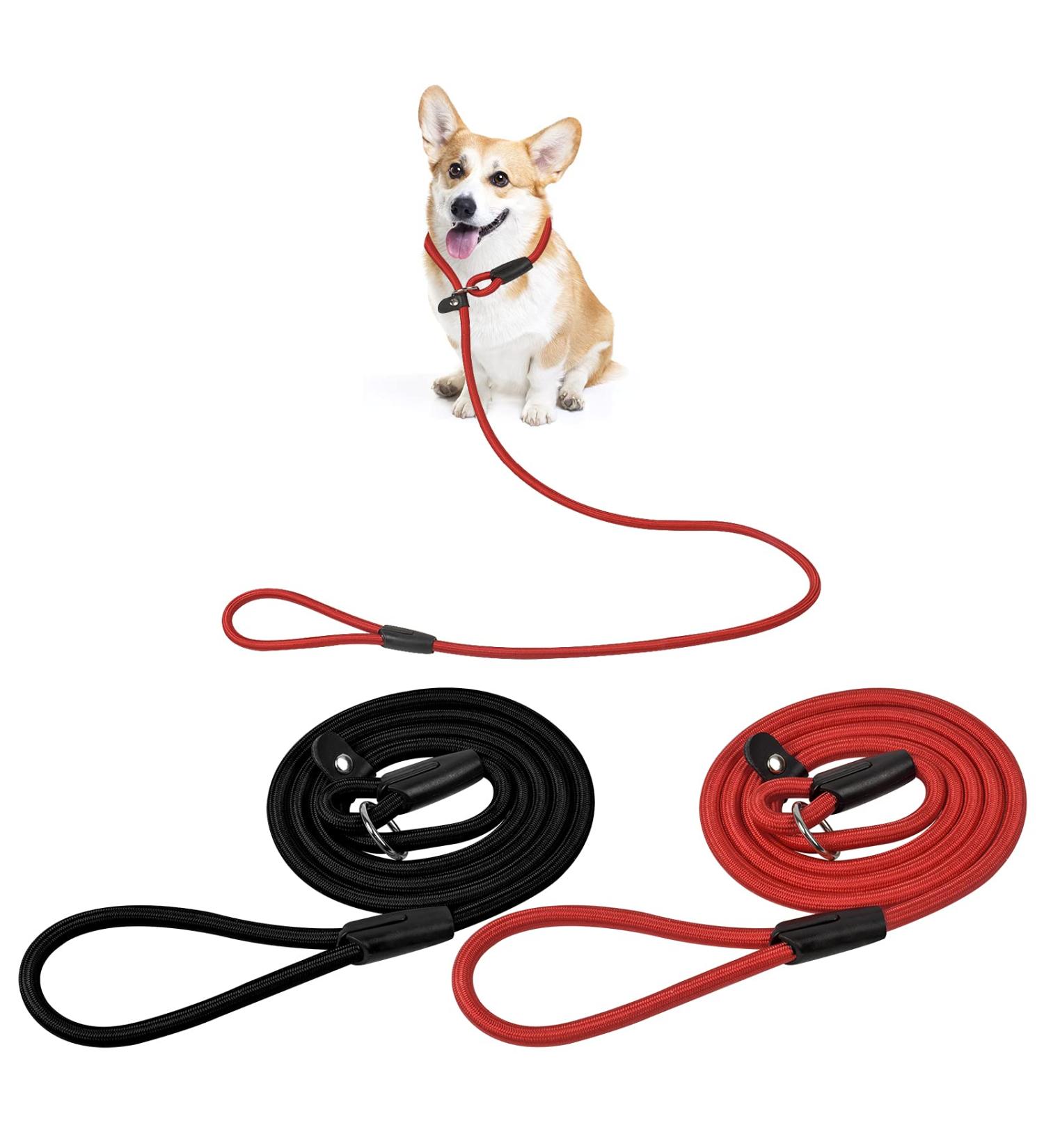 Avodova 2-Piece Adjustable Dog Leash Set | 1.3m Braided Nylon Leash for Small & Medium Dogs | Durable Training Tow Lines - Buy Online on GoSupps.com