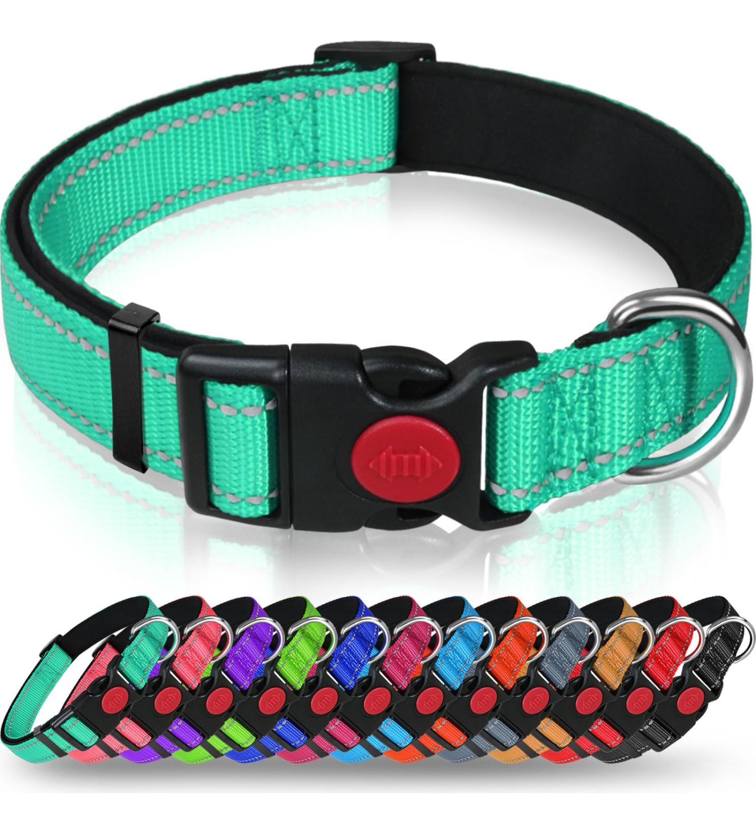 Taglory Soft Padded Neoprene Dog Collar for Puppies Adjustable Reflective & Comfortable Turquoise XS (1 Pack) Perfect for Training & International Shipping - Buy Online on GoSupps.com