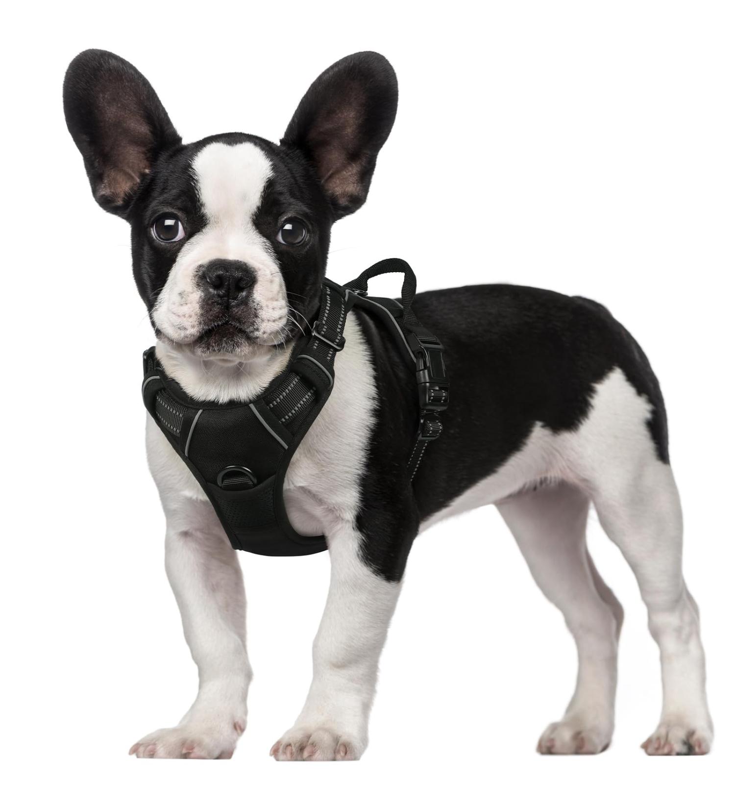 Rabbitgoo Medium Dog Harness - No Pull Adjustable Breathable Safe Control for Large Dogs - Black - Buy Online on GoSupps.com