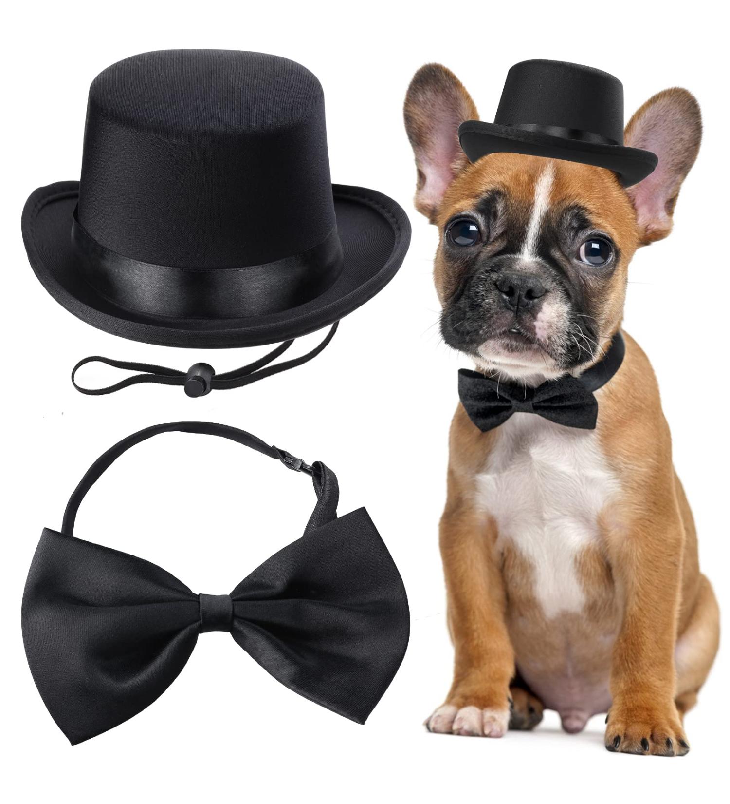 Yewong 2 Pieces Pet Formal Accessories Set - Pet Top Hat with Pet Formal Necktie/Bowtie Birthday Party Gradation Halloween Costumes Accessories for Dog Cat (Black-A) - Buy Online on GoSupps.com
