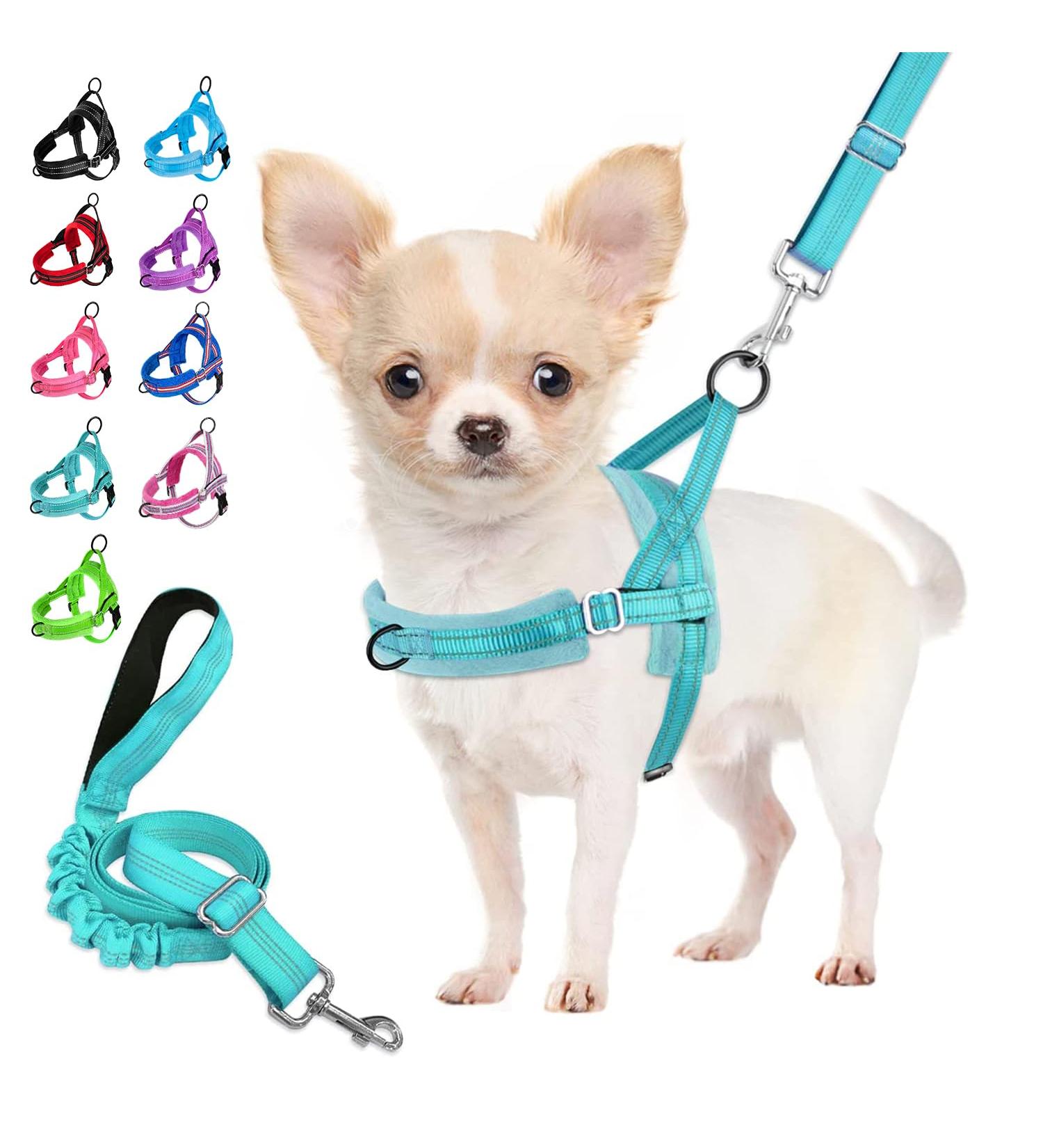 Eyein No-Pull Dog Harness with Leash | Padded & Adjustable for All Breeds | Reflective Design | Soft Dishes for Puppies Small & Large Dogs | Blue-Green XXS - Buy Online on GoSupps.com