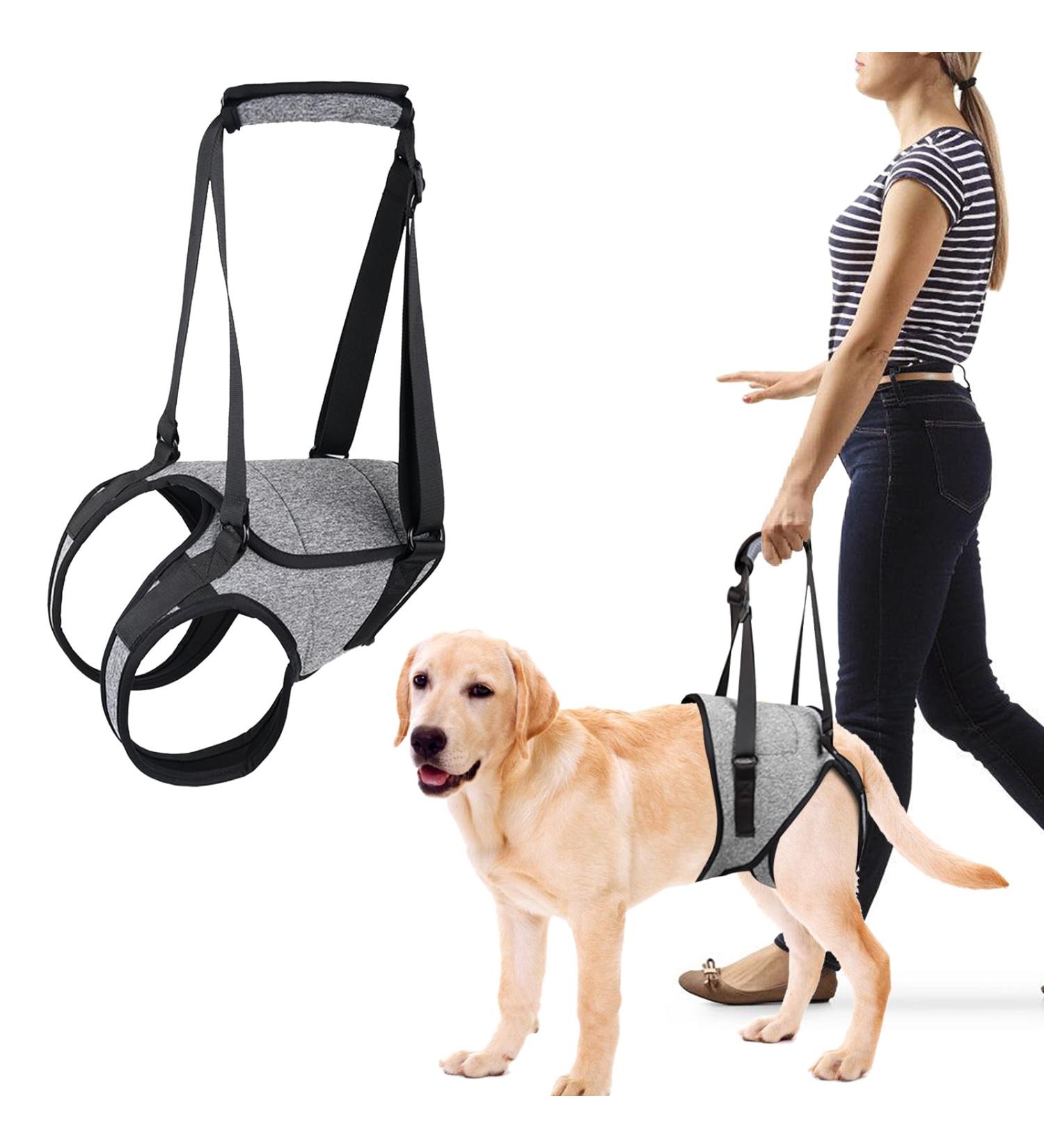 Dog Lifting Harness Dog Support Harness for Back Legs Dog Harness Medium Dog Sling for Back Legs with Lift Handle Adjustable Puppy Harness for Elderly Disabled Joint Injuries Canine Portable(Grey) - Buy Online on GoSupps.com