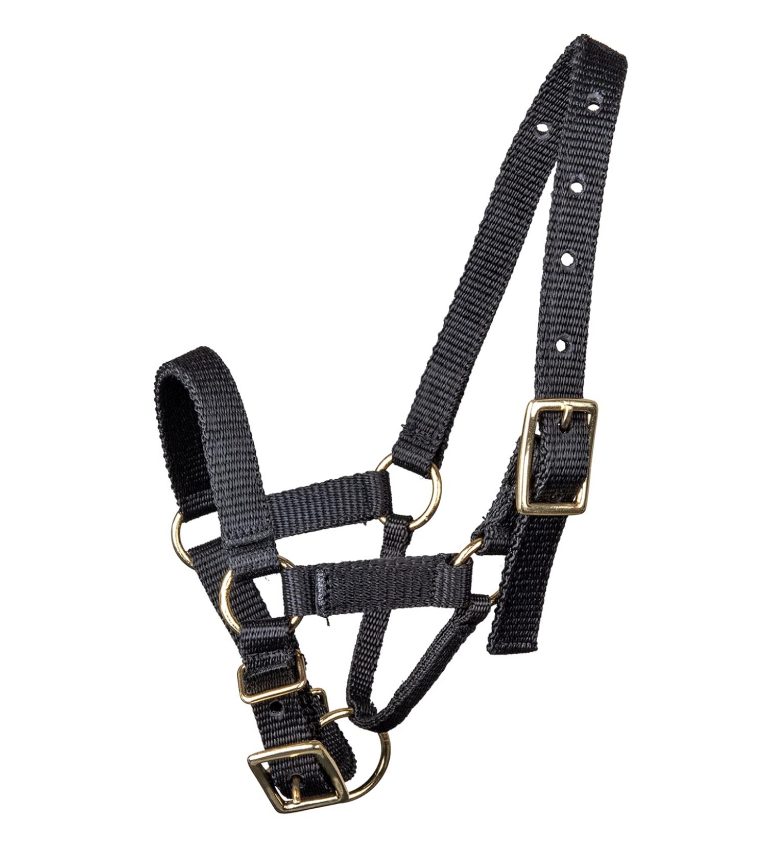 WALDHAUSEN Alpaca Headcollar Size S Black