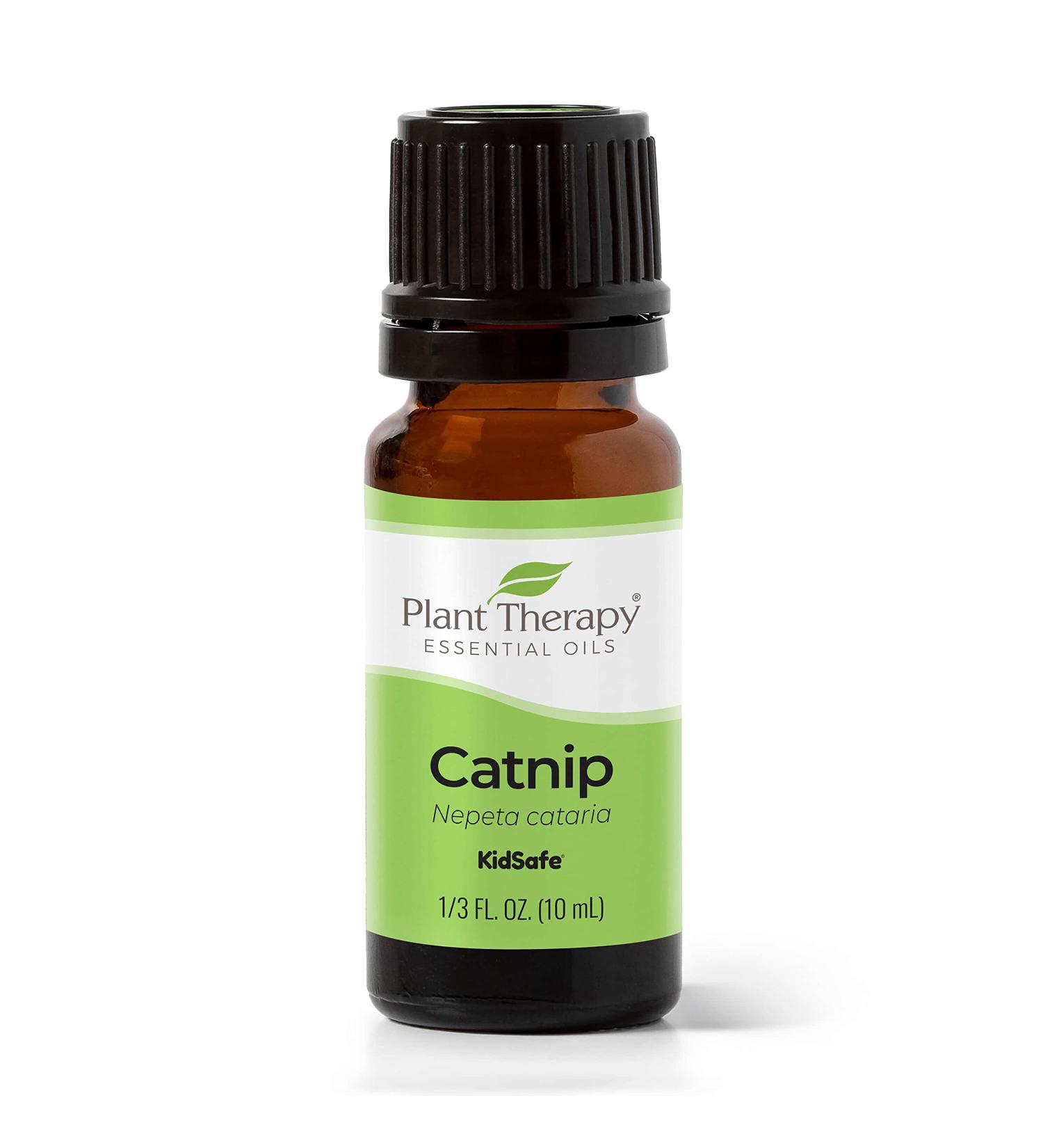 Plant Therapy Catnip Essential Oil 100% Pure & Natural - Therapeutic Grade Aromatherapy (10 mL) - International Shipping Available - Buy Online on GoSupps.com