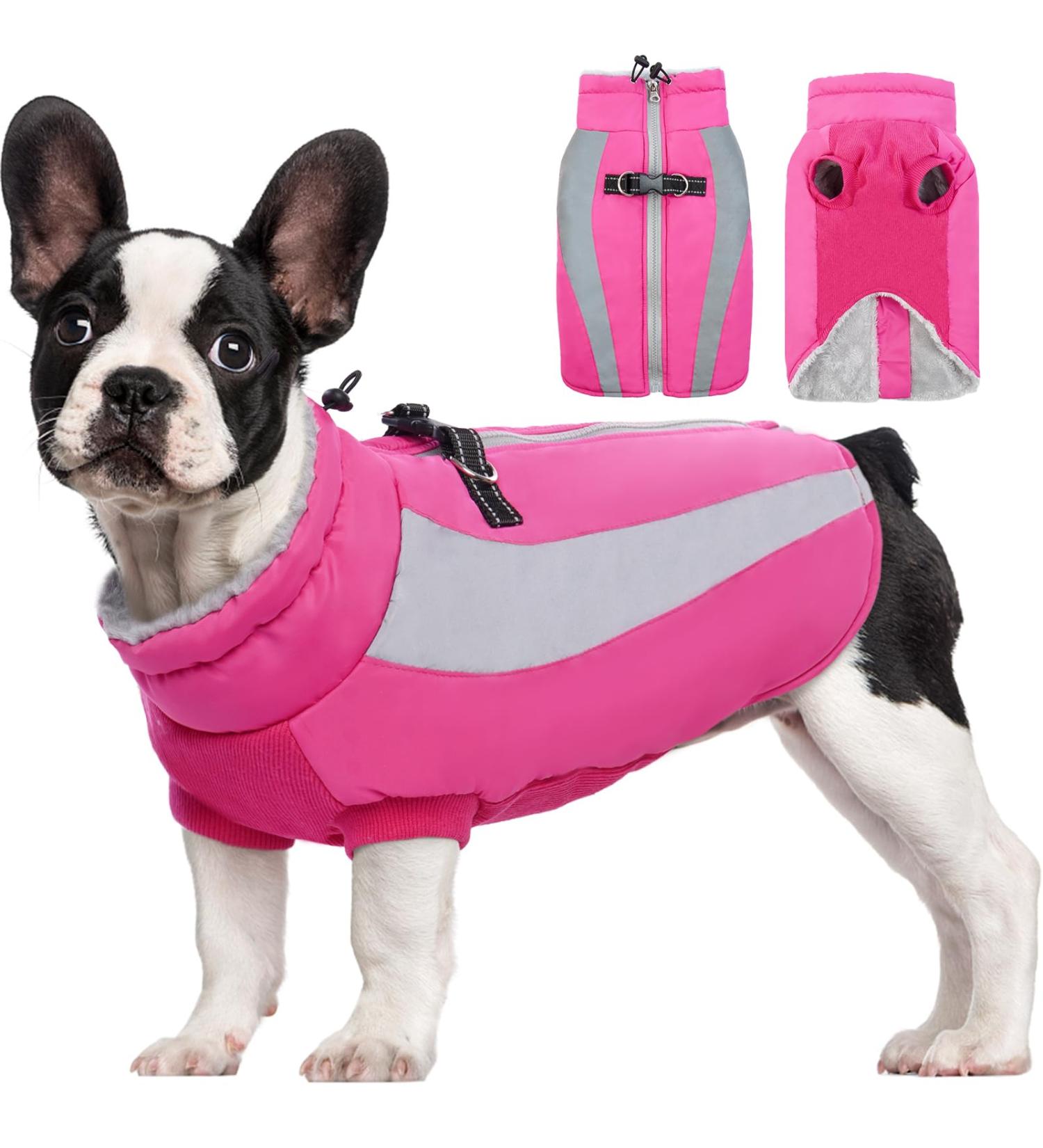 Kuoser Waterproof Dog Winter Coat for Small Medium Large Dogs - Rose X-Small - Buy Online on GoSupps.com
