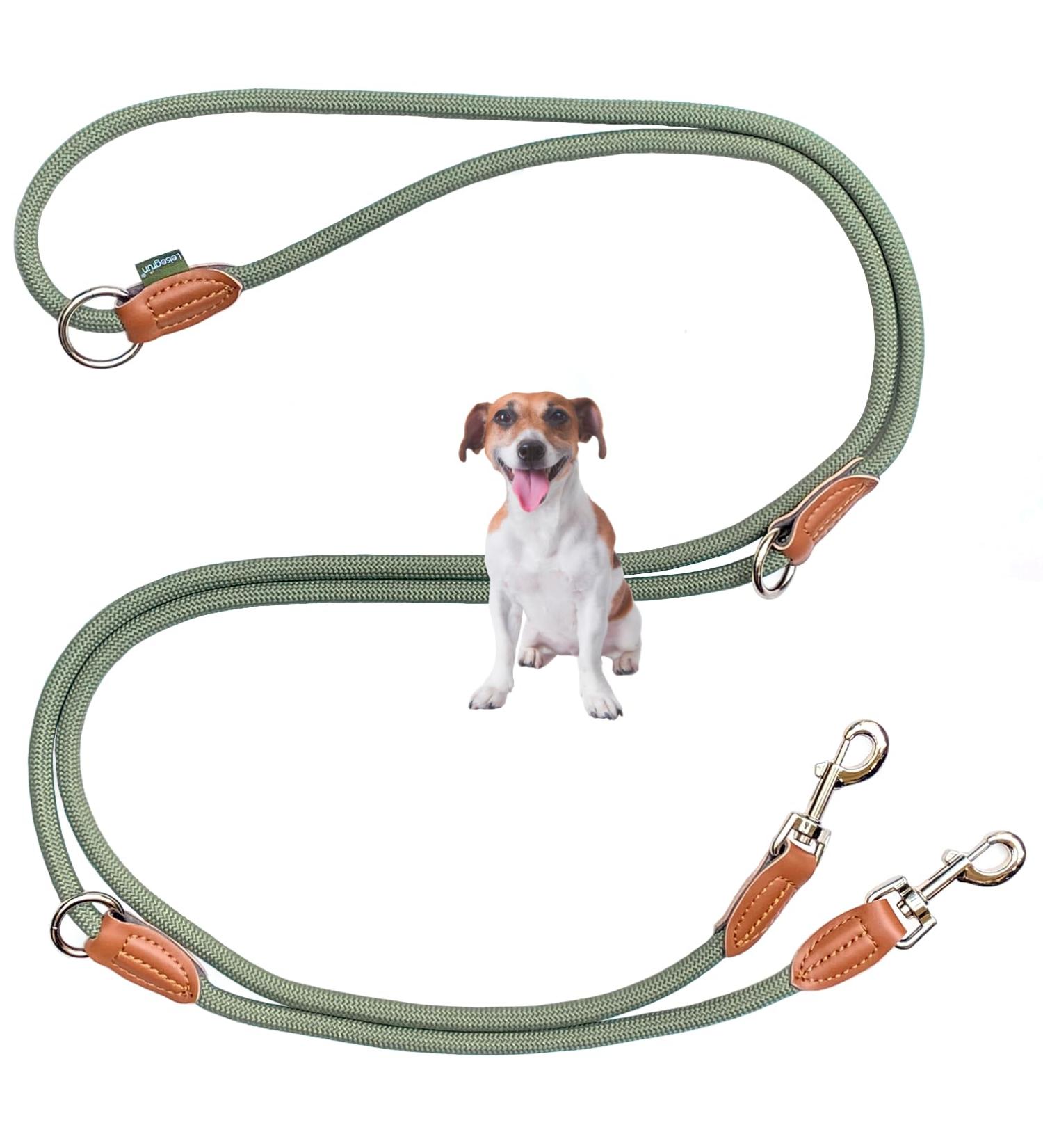 Leitengr n Adjustable Dog Leash for Little Dogs | 3M Long 0.8cm Wide | Lightweight Devon Model with 2 Carabiners | Green Hoary | International Shipping Available - Buy Online on GoSupps.com