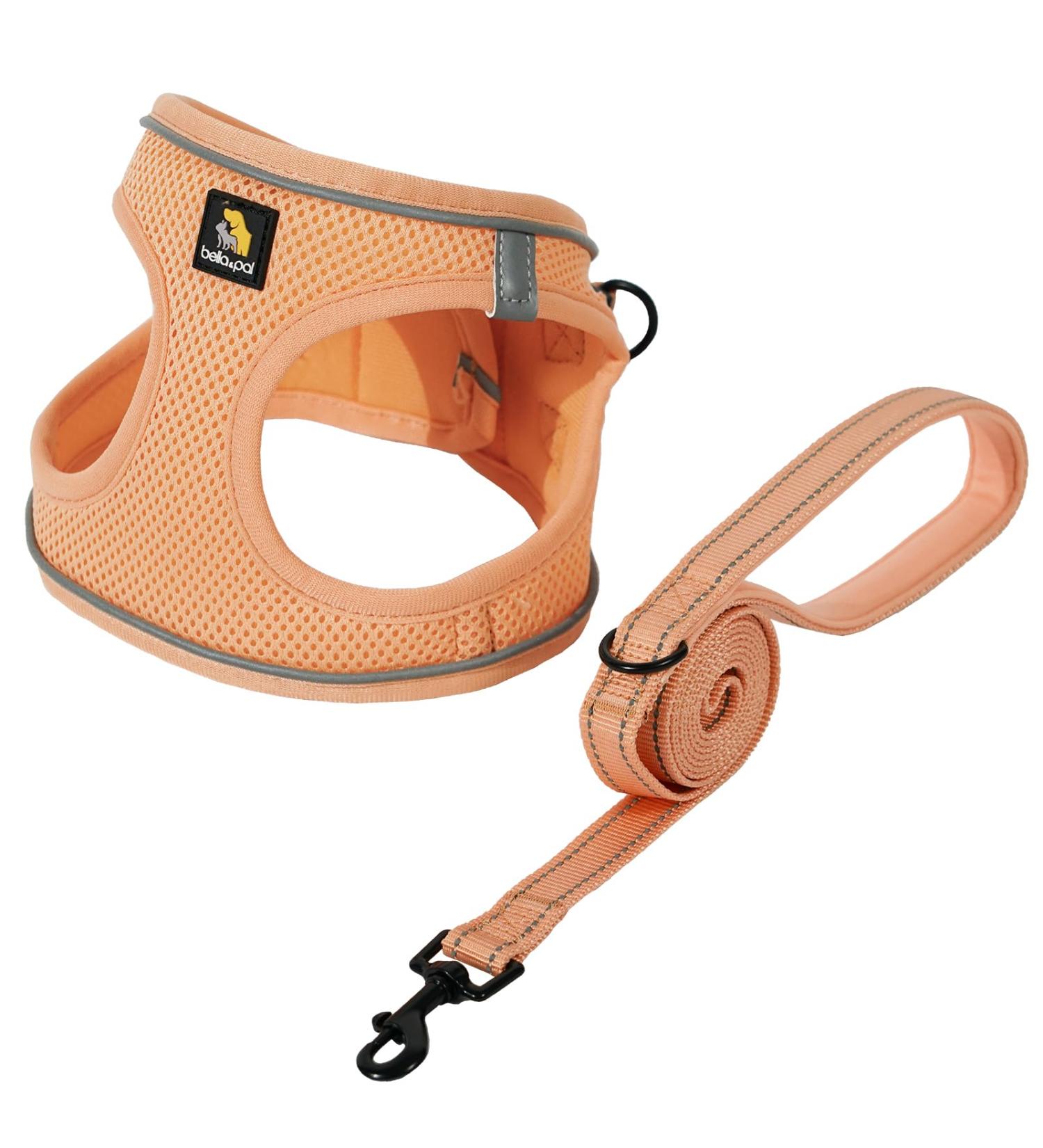 Buy Bella & Pal Dog Harness for Small Dogs - Reflective Breathable Air Mesh with Leash - Perfect for Puppies & Cats - Peach Color - 40-45cm - Buy Online on GoSupps.com