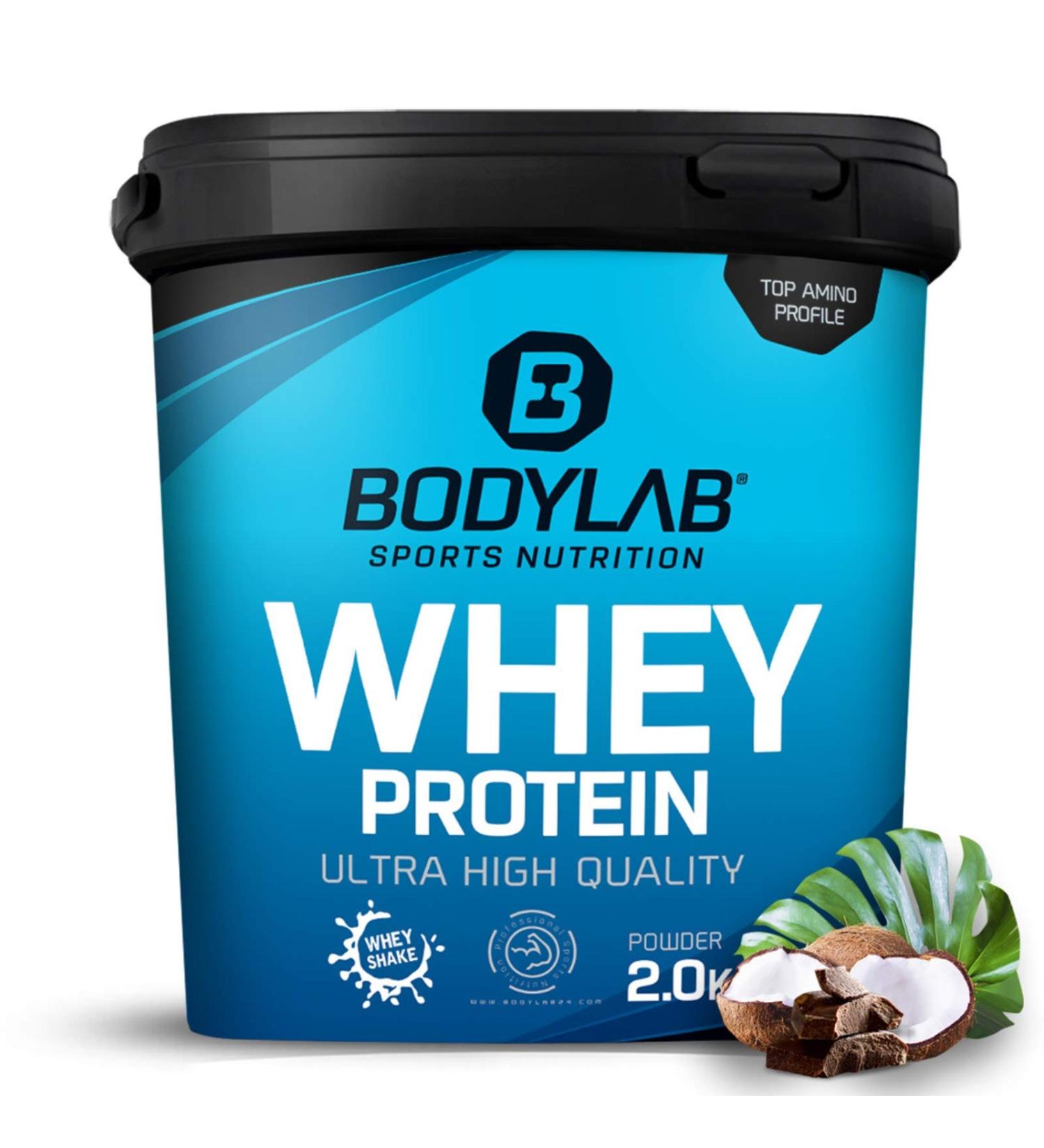 Buy Bodylab24 Whey Protein Powder Chocolate Coconut - 2kg | Premium Quality Protein for Muscle Growth & Recovery - Buy Online on GoSupps.com