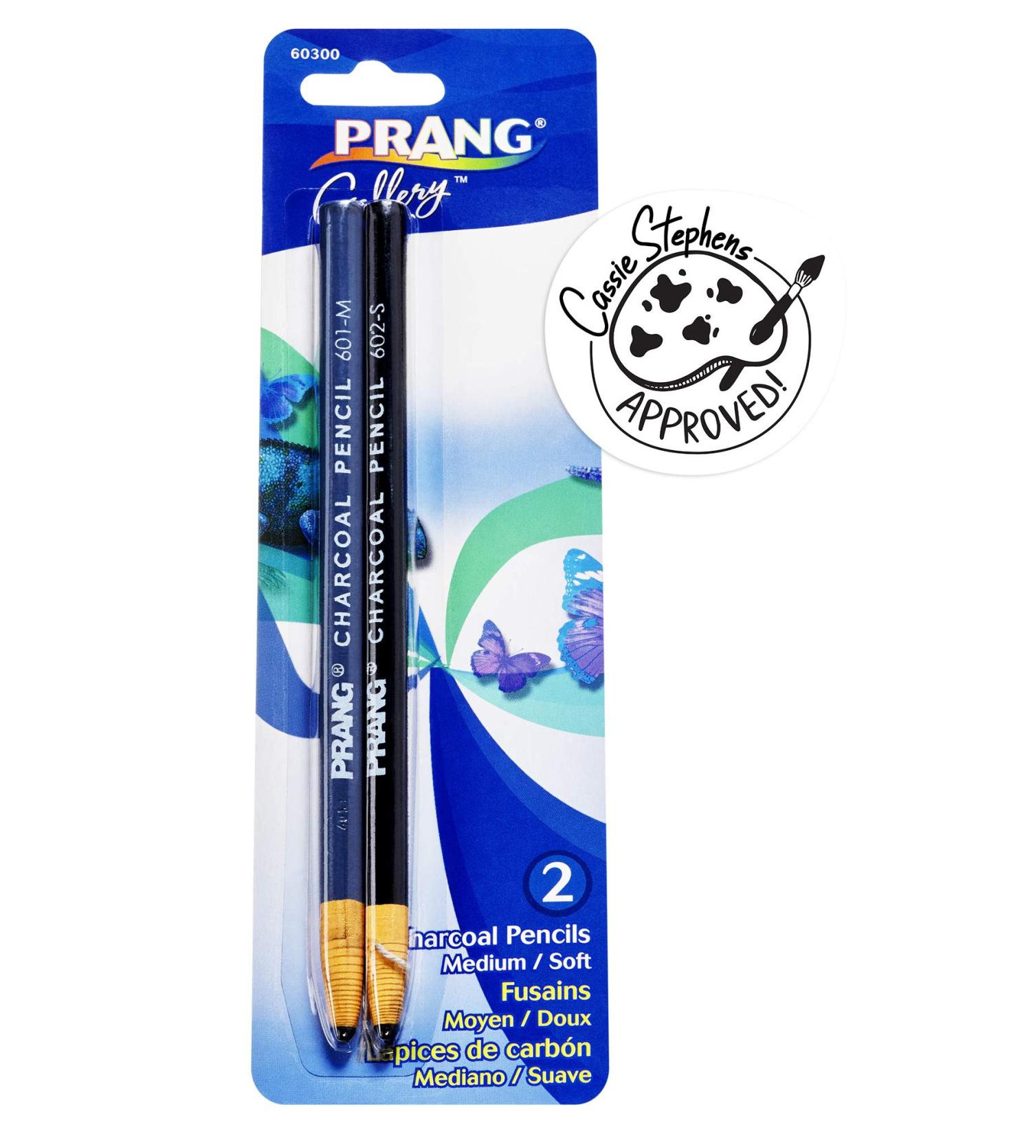 PRANG Artist Charcoal Pencil Set - Medium and Soft Black Pencils (Set of 2 - 60300) - Buy Online on GoSupps.com