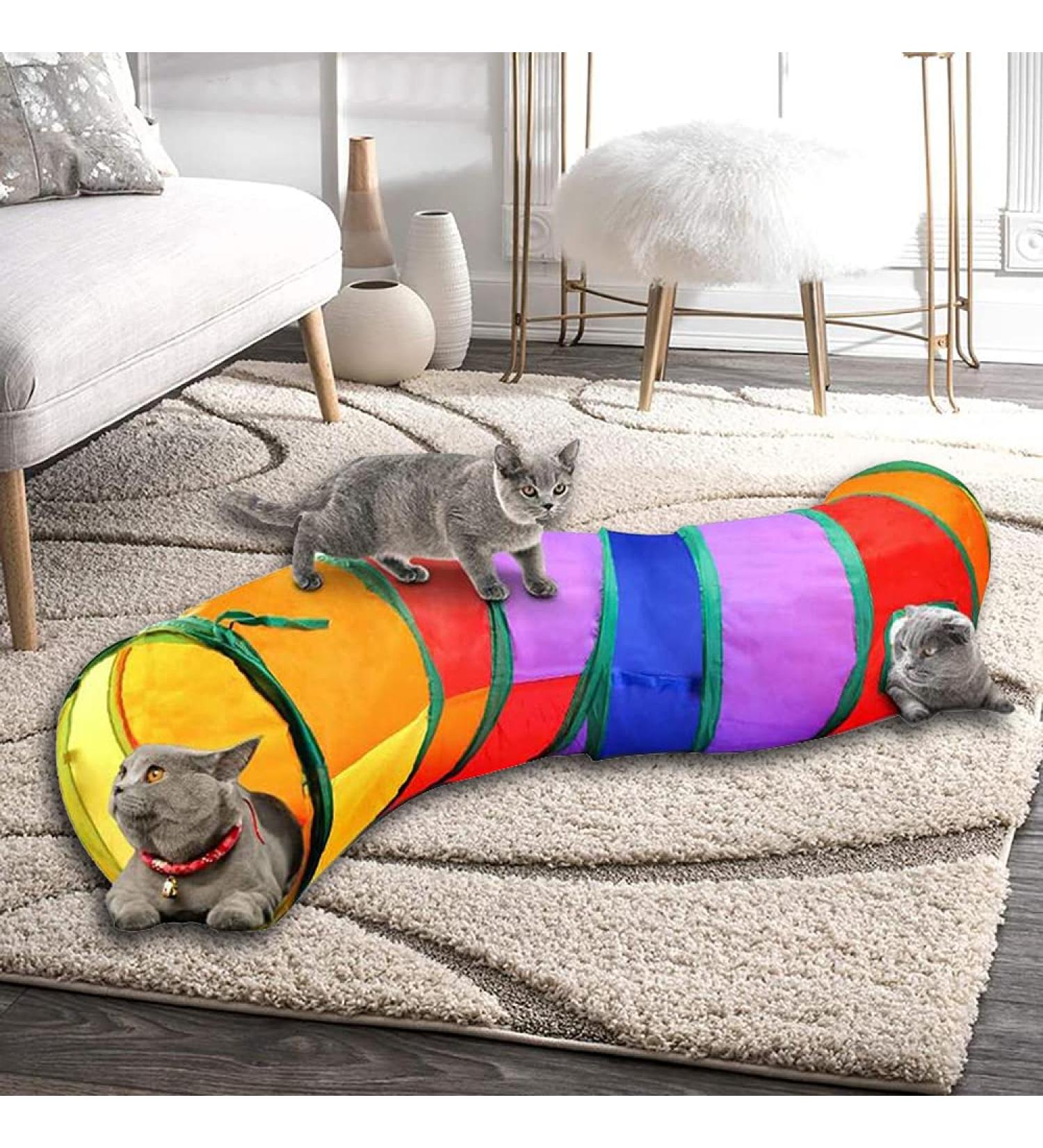 Interactive Cat Tunnel Toy for Indoor Cats - Collapsible S-Style Rainbow Design - Buy Online on GoSupps.com