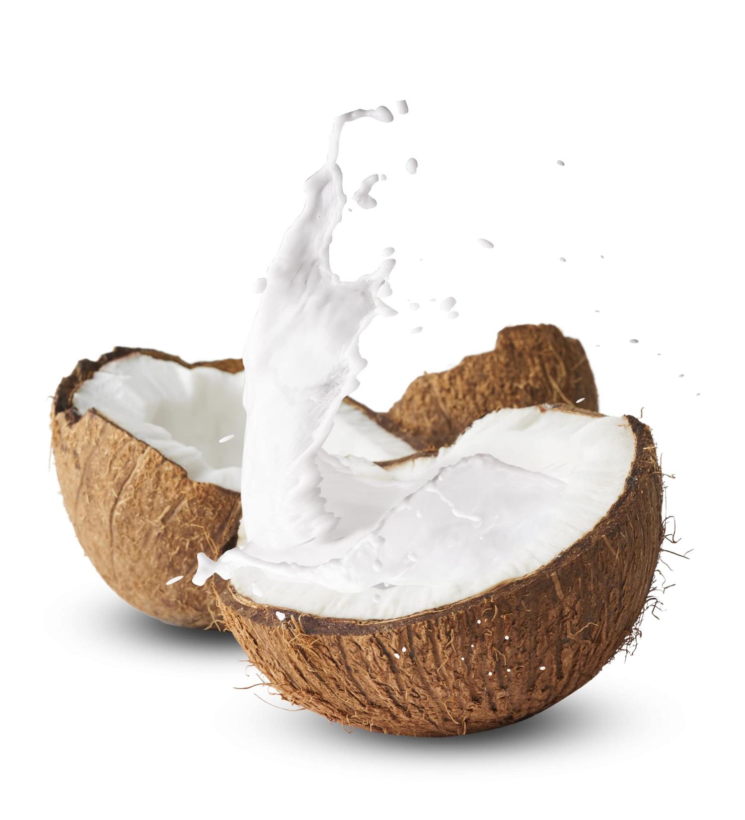 EcoEcho Organic Coconut Milk Powder (Unsweetened Non GMO) - 1kg / 2.2Lb - Buy Online on GoSupps.com