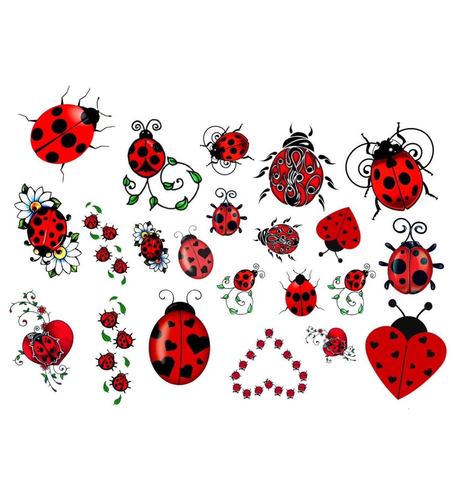 Temporary Tattoos collection (Ladybug c2 Temporary Tattoos) - Buy Online on GoSupps.com