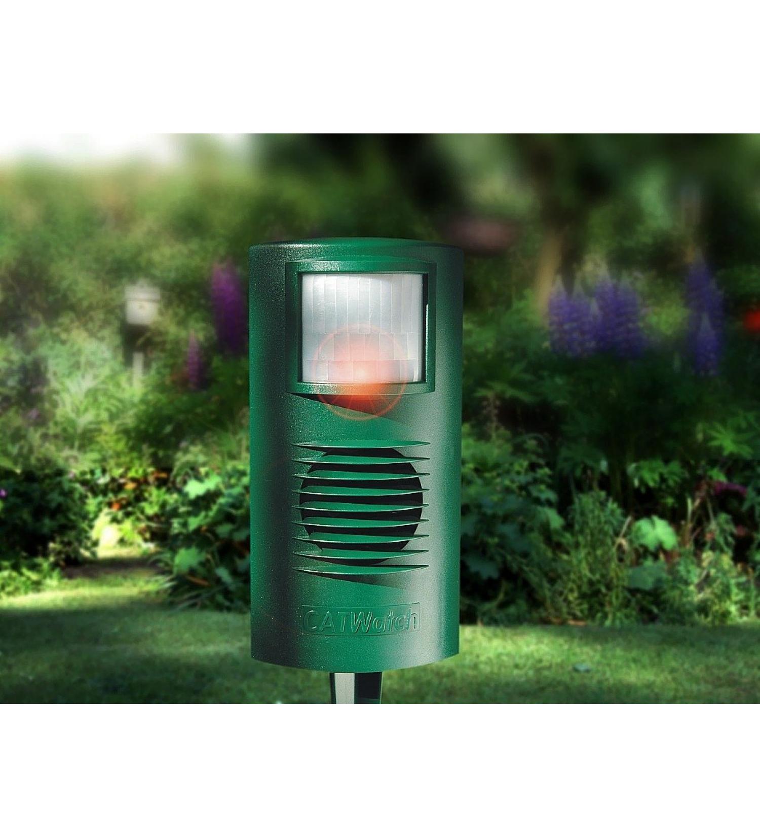 Cat watch Ultrasonic Deterrent - Buy Online on GoSupps.com