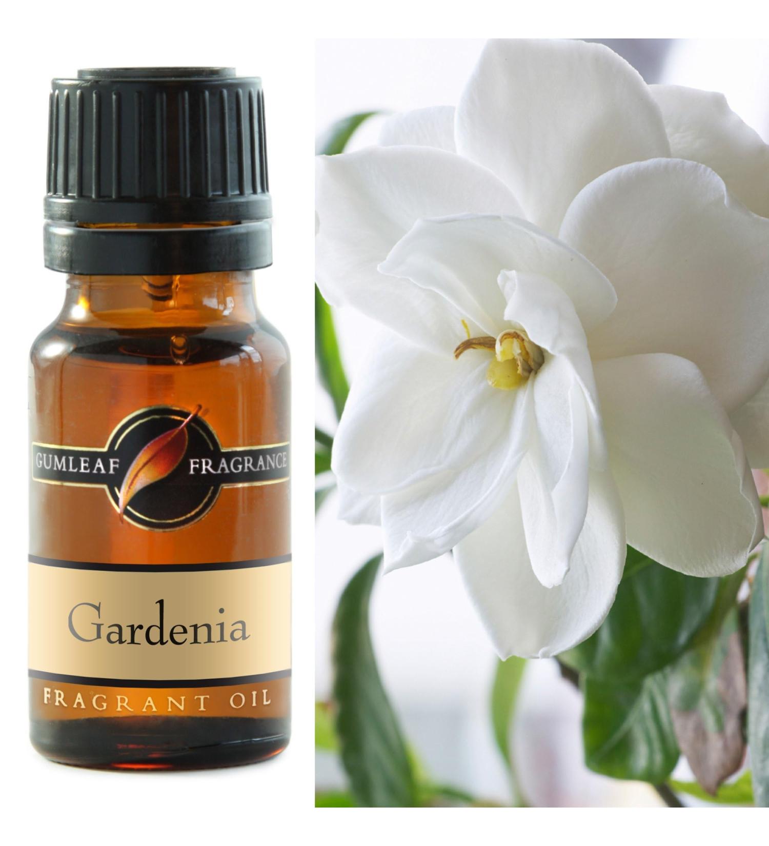 Gumleaf Fragrance Gardenia Fragrant Oil - 0.34fl oz Cruelty Free & Vegan Phthalate-Free Fragrance