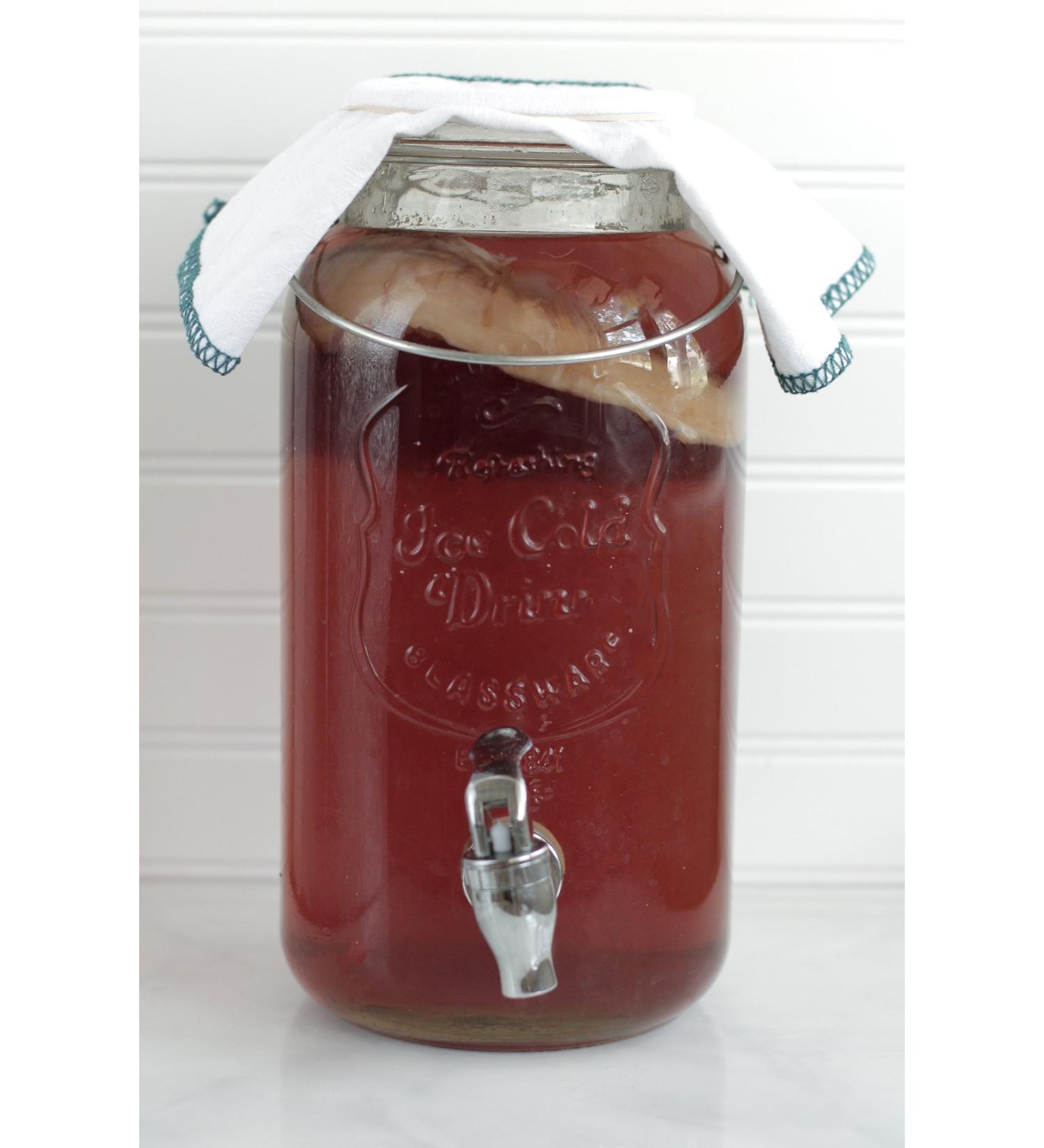 Kombuchaorganic Certified Organic Large (5 Litre) and Mature Beautiful Kombucha Scoby Starter Tea FREE Postal Service - Buy Online on GoSupps.com